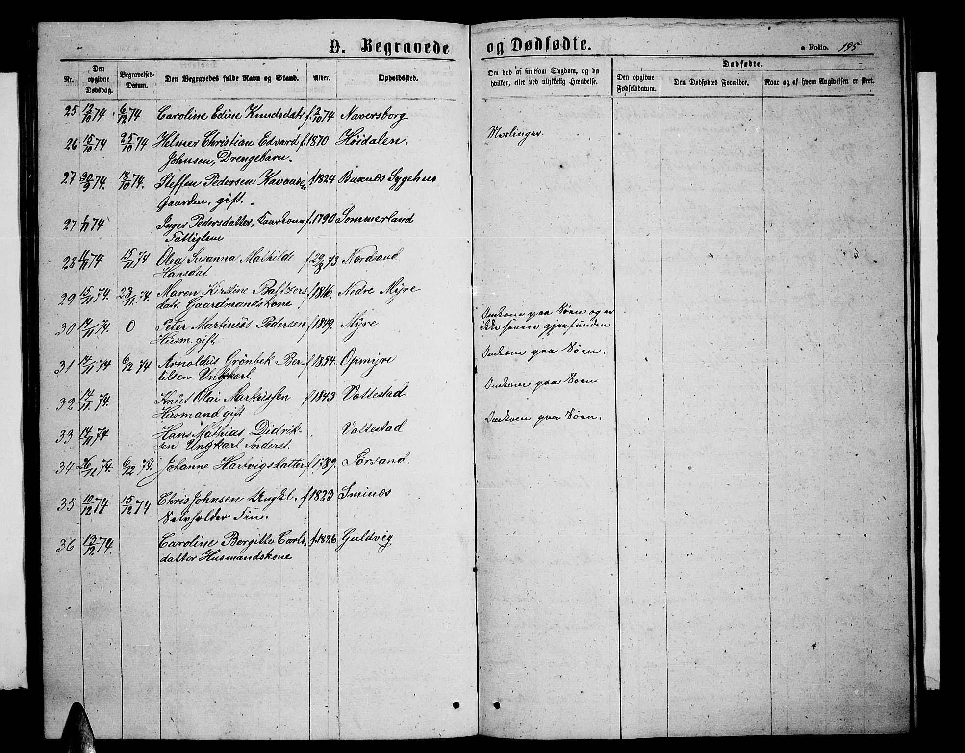 Ministerialprotokoller, klokkerbøker og fødselsregistre - Nordland, AV/SAT-A-1459/893/L1348: Parish register (copy) no. 893C03, 1867-1877, p. 195