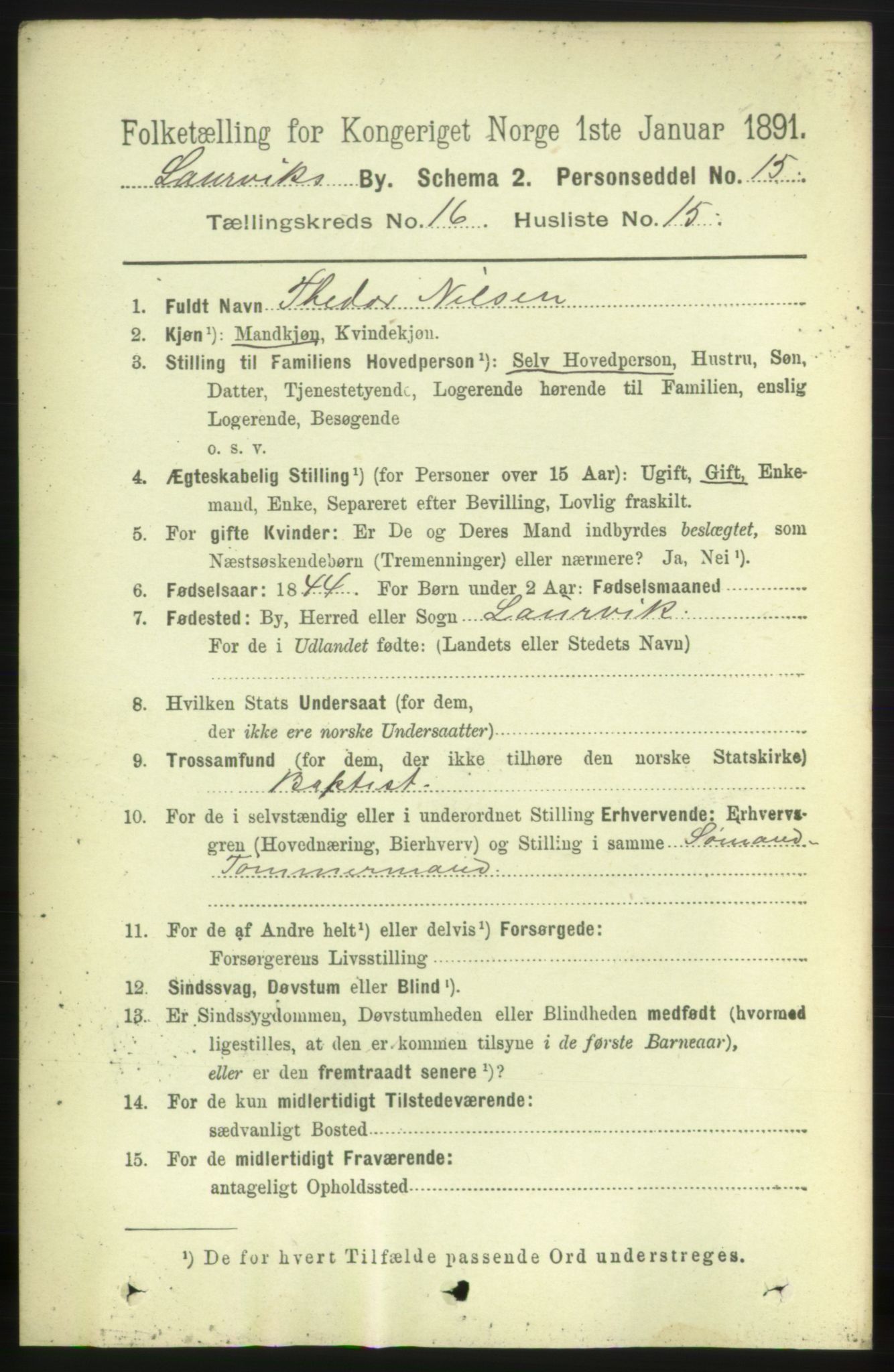 RA, 1891 census for 0707 Larvik, 1891, p. 11770