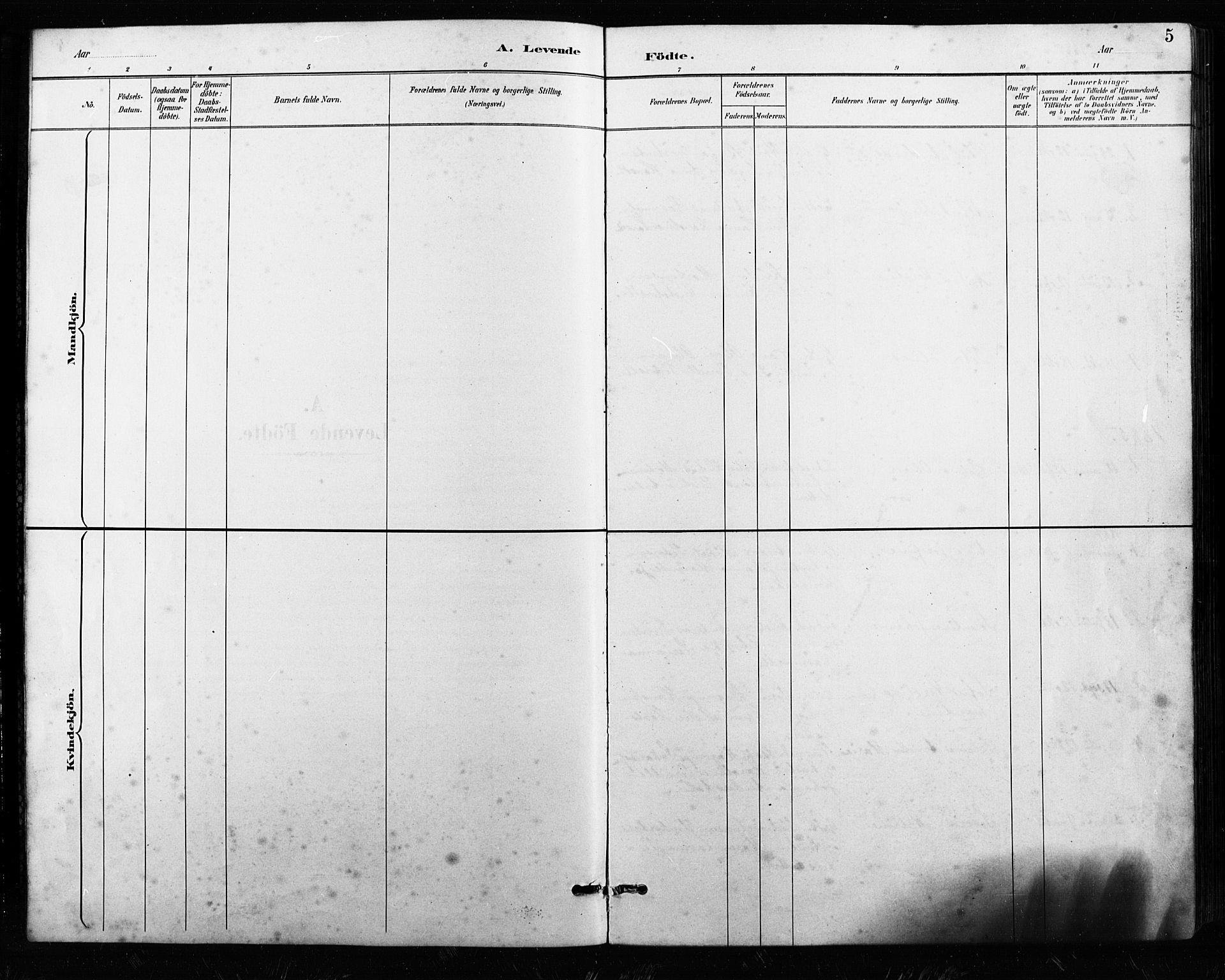 Ministerialprotokoller, klokkerbøker og fødselsregistre - Nordland, AV/SAT-A-1459/858/L0834: Parish register (copy) no. 858C01, 1884-1904, p. 5