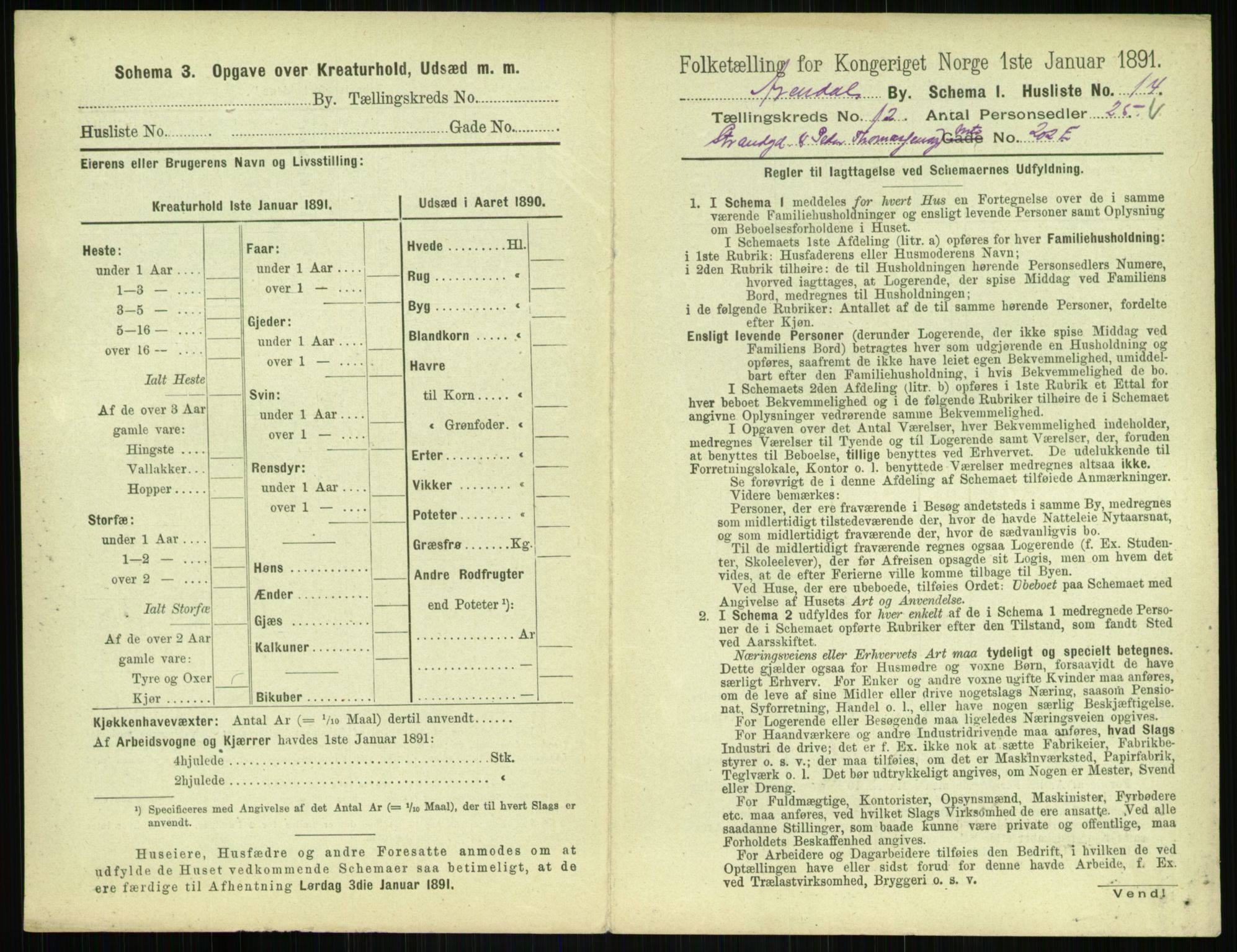 RA, 1891 census for 0903 Arendal, 1891, p. 664