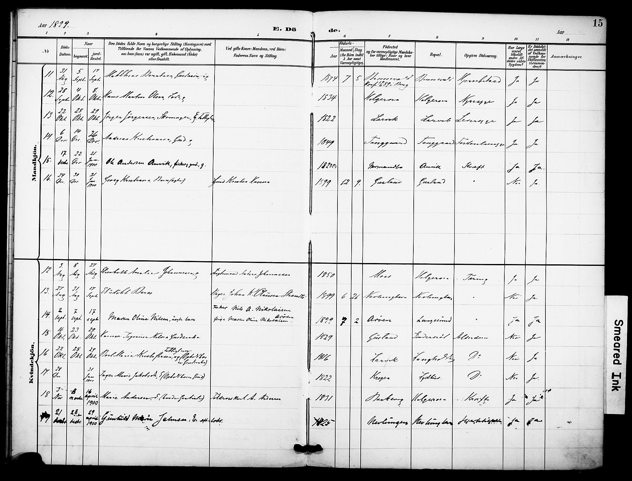 Brunlanes kirkebøker, AV/SAKO-A-342/F/Fb/L0002: Parish register (official) no. II 2, 1895-1899, p. 15