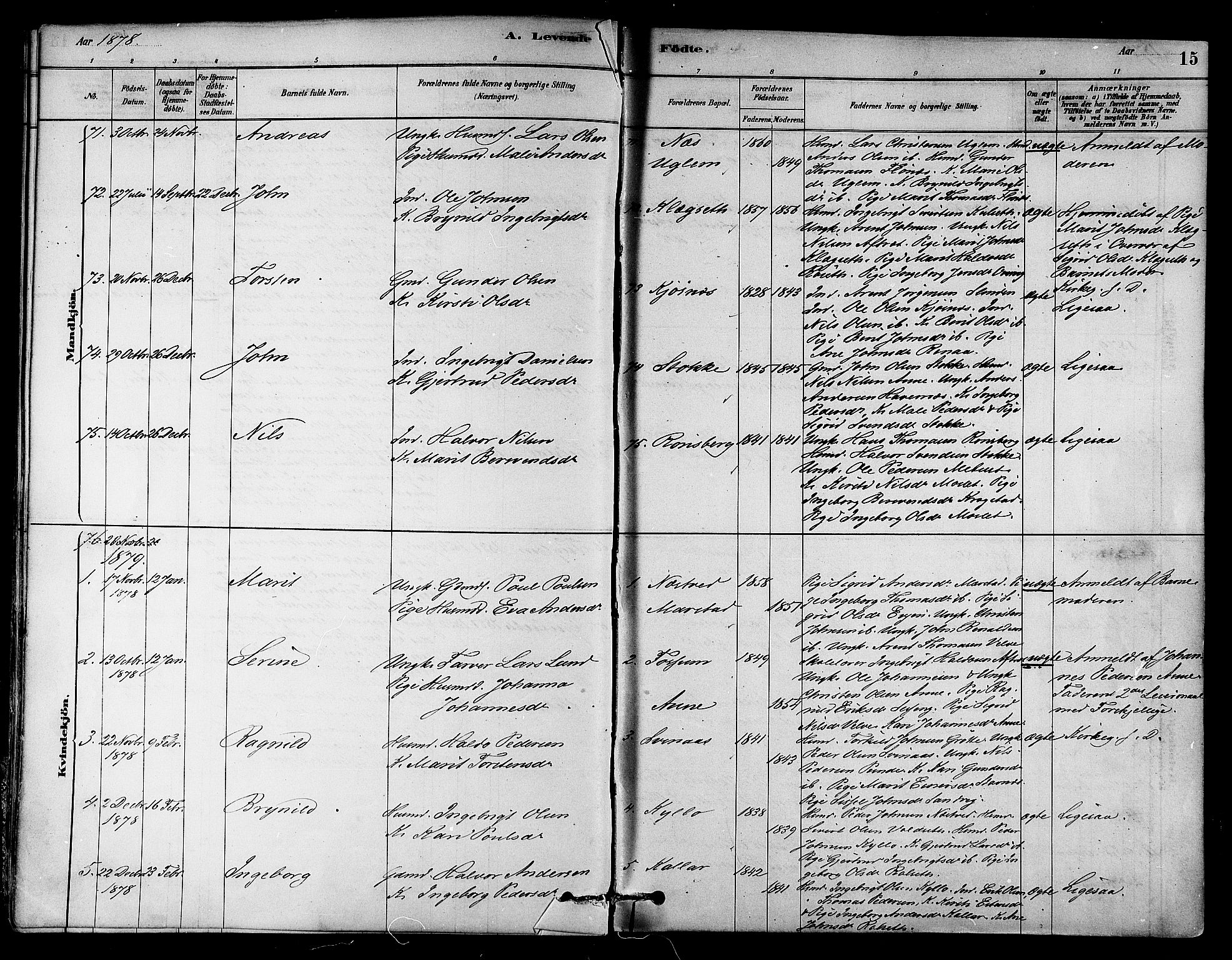 Ministerialprotokoller, klokkerbøker og fødselsregistre - Sør-Trøndelag, SAT/A-1456/695/L1148: Parish register (official) no. 695A08, 1878-1891, p. 15