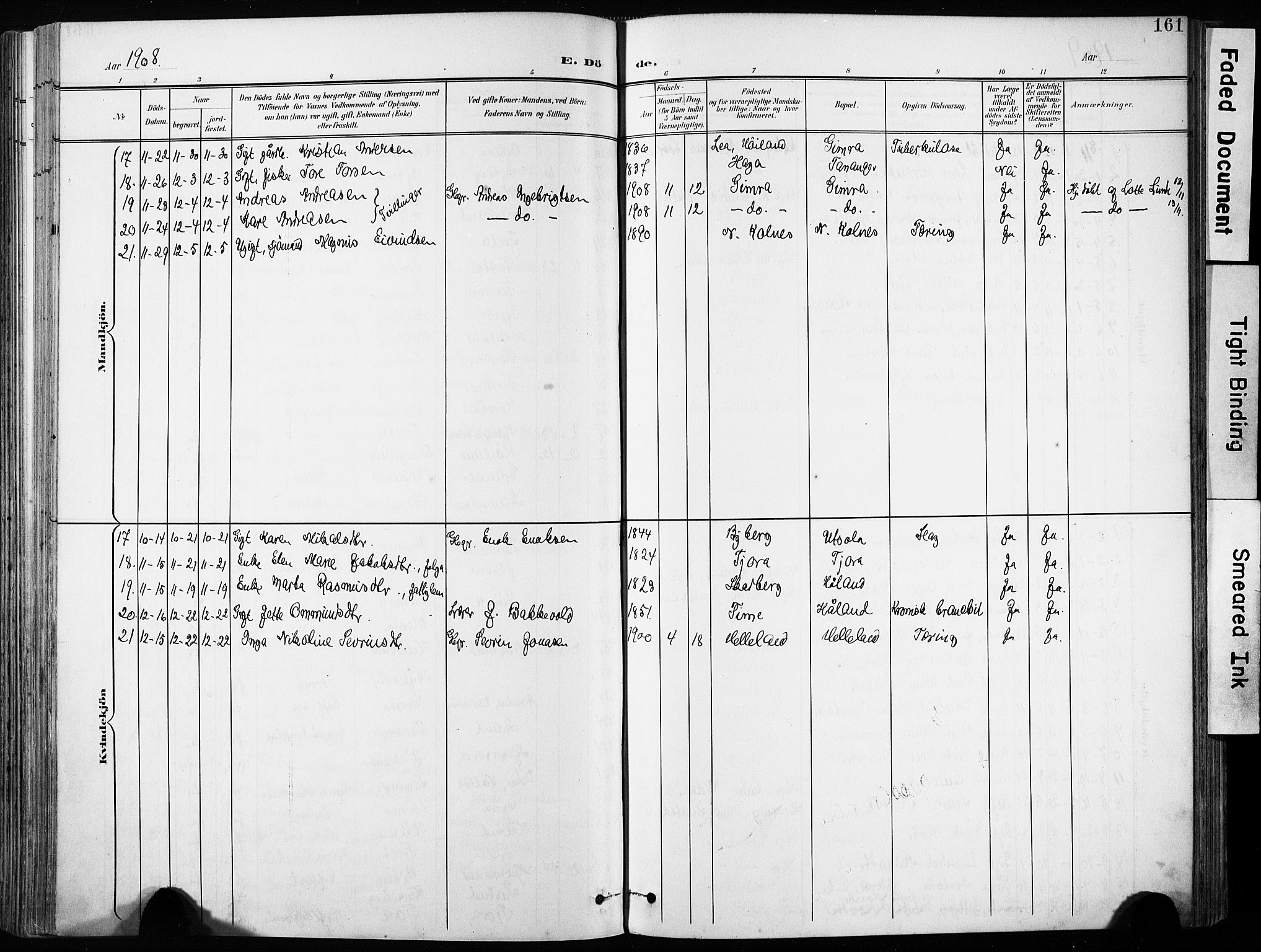 Håland sokneprestkontor, AV/SAST-A-101802/001/30BA/L0013: Parish register (official) no. A 12, 1901-1913, p. 161