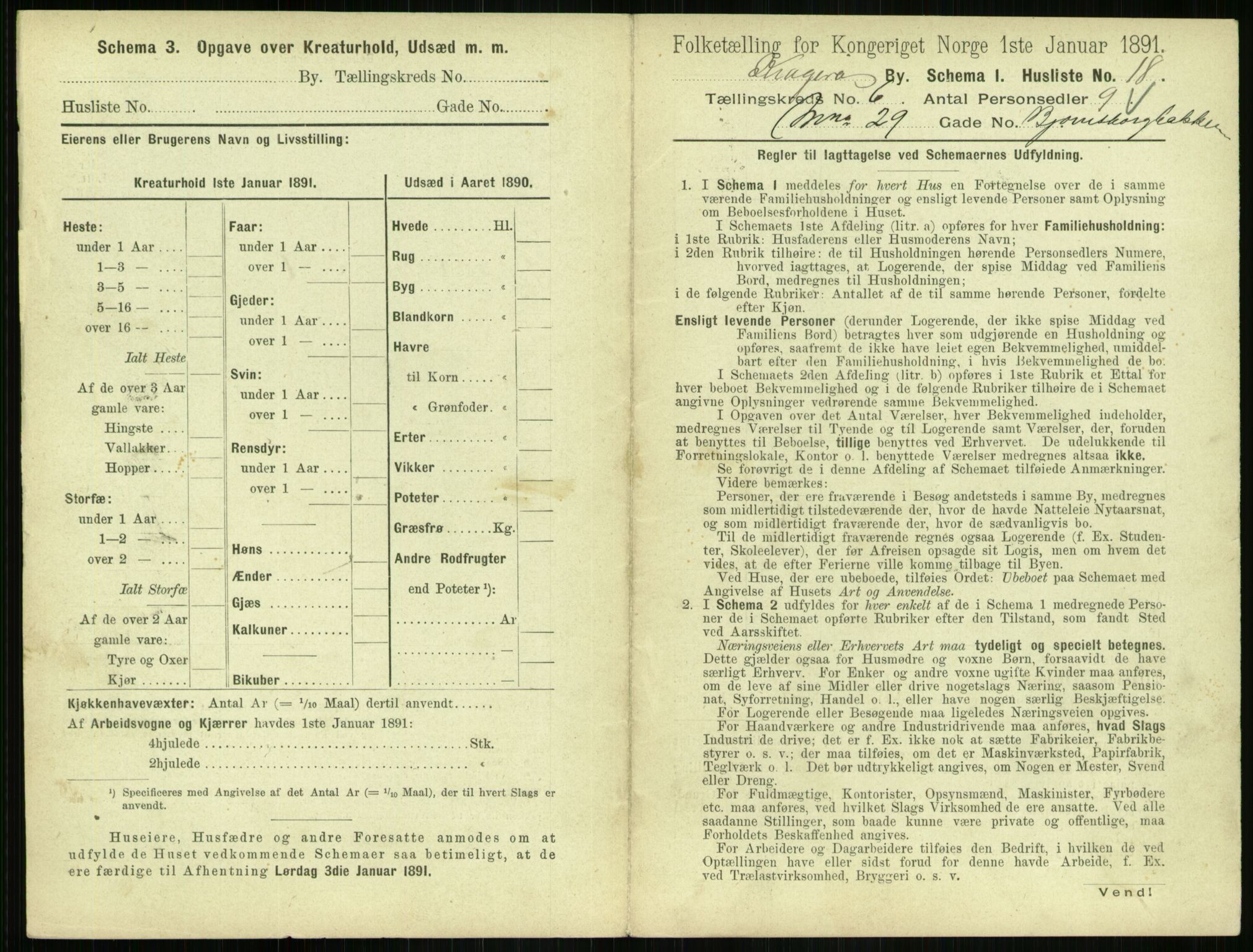 RA, 1891 census for 0801 Kragerø, 1891, p. 510