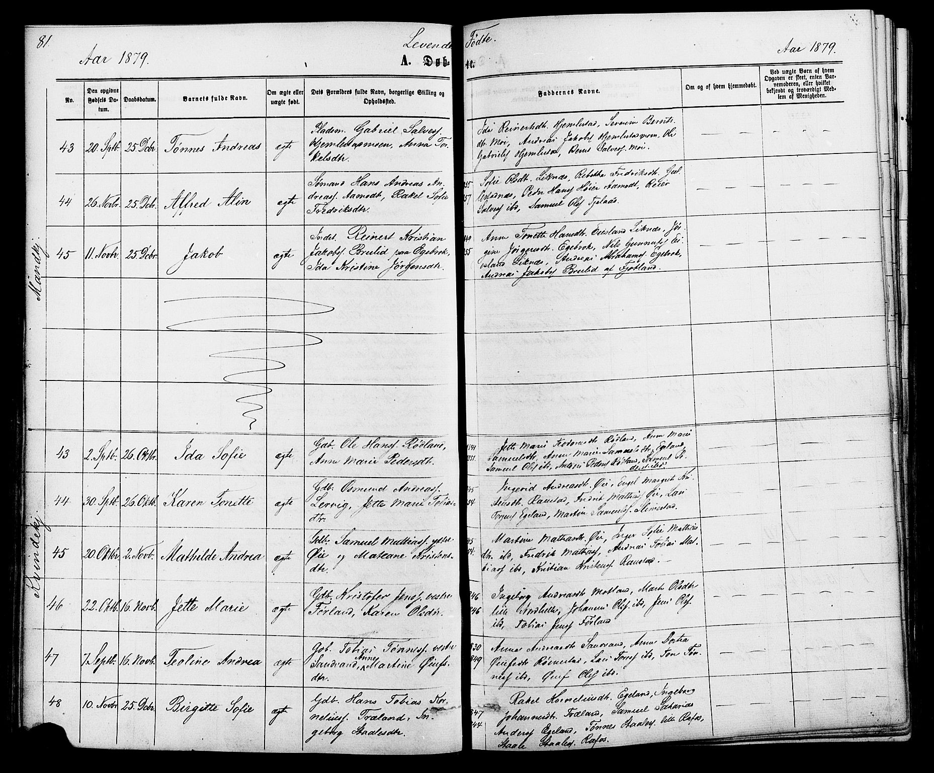 Kvinesdal sokneprestkontor, AV/SAK-1111-0026/F/Fa/Fab/L0007: Parish register (official) no. A 7, 1870-1885, p. 81