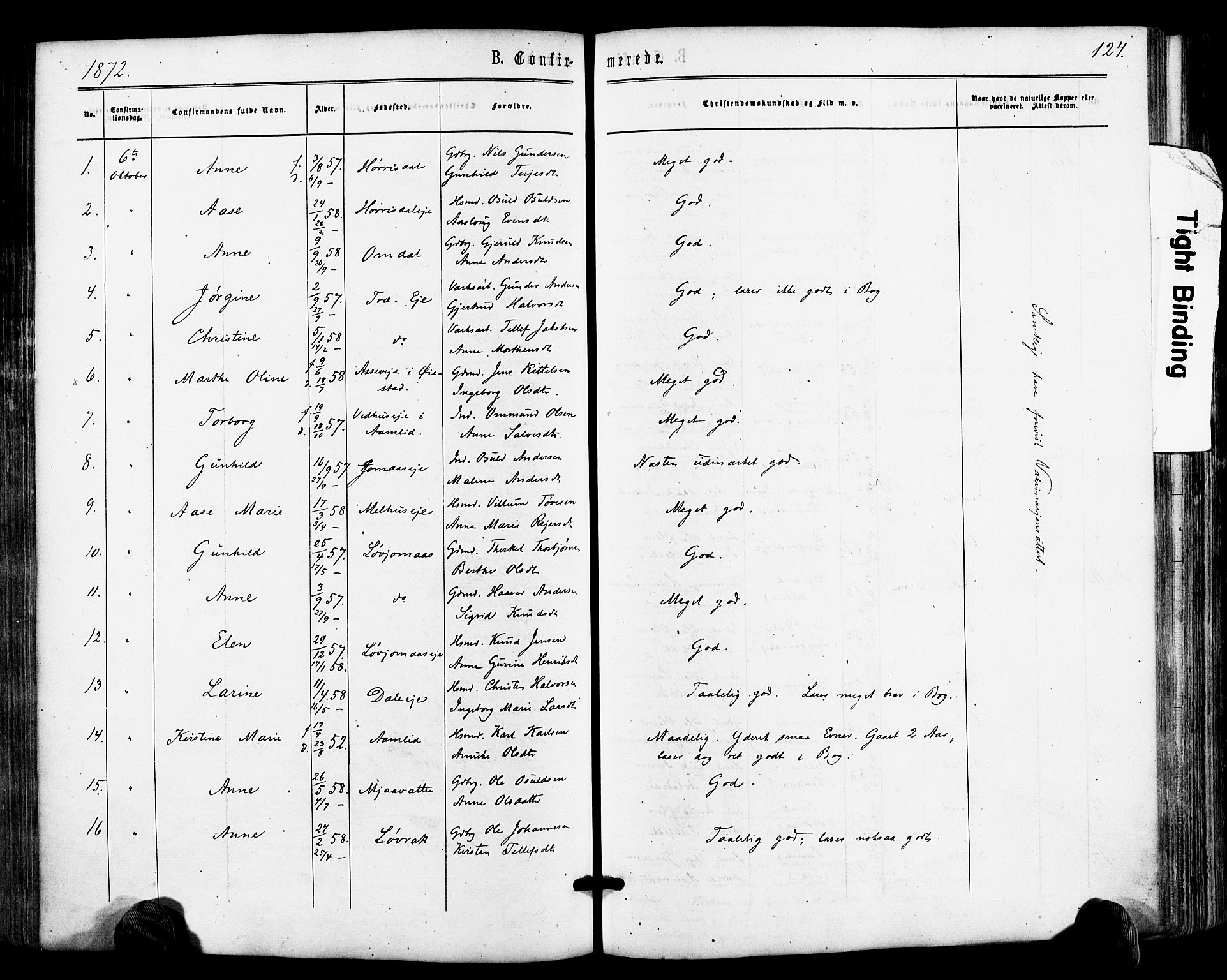 Froland sokneprestkontor, SAK/1111-0013/F/Fa/L0003: Parish register (official) no. A 3, 1864-1881, p. 124
