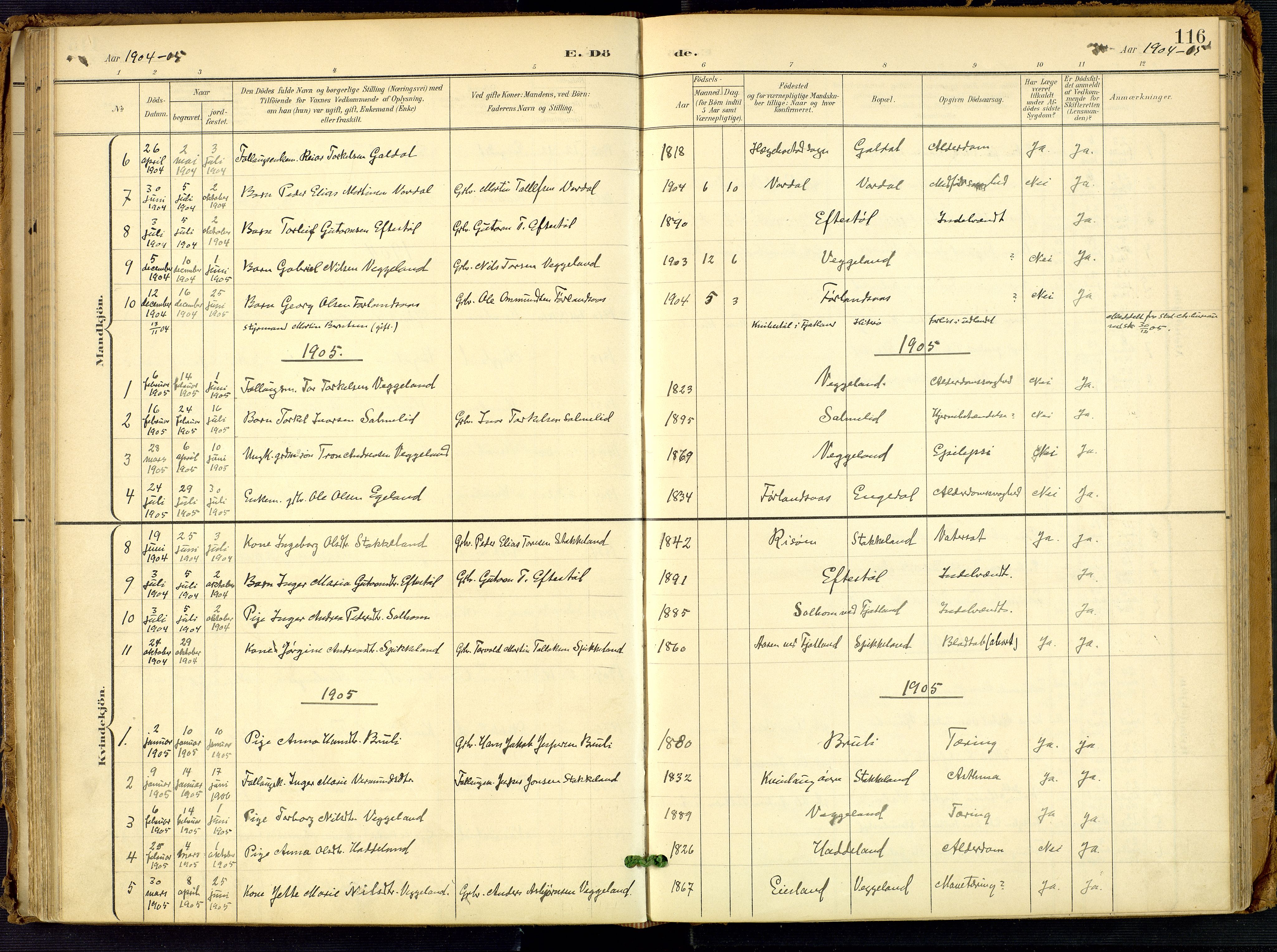 Fjotland sokneprestkontor, AV/SAK-1111-0010/F/Fa/L0003: Parish register (official) no. A 3, 1899-1917, p. 116