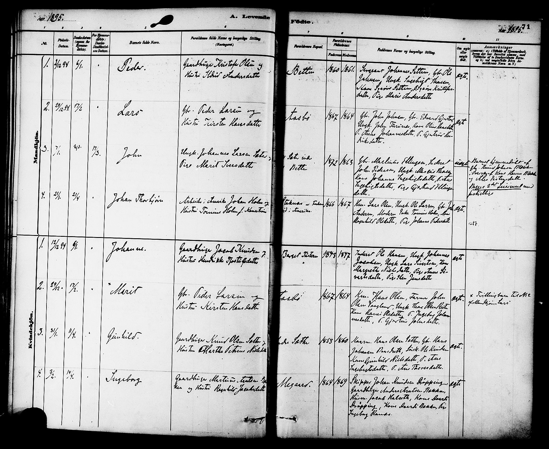 Ministerialprotokoller, klokkerbøker og fødselsregistre - Møre og Romsdal, AV/SAT-A-1454/576/L0885: Parish register (official) no. 576A03, 1880-1898, p. 71