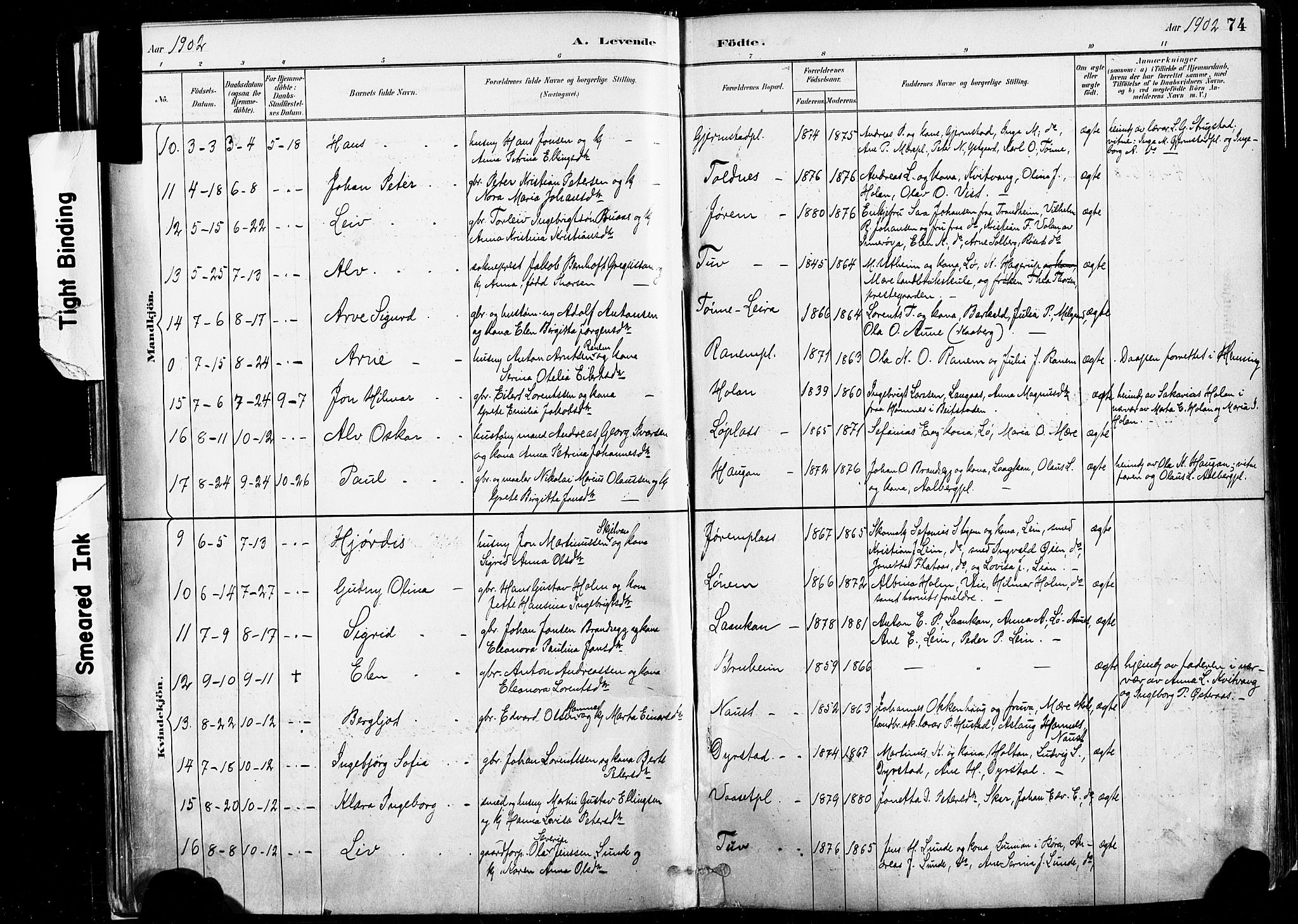 Ministerialprotokoller, klokkerbøker og fødselsregistre - Nord-Trøndelag, AV/SAT-A-1458/735/L0351: Parish register (official) no. 735A10, 1884-1908, p. 74