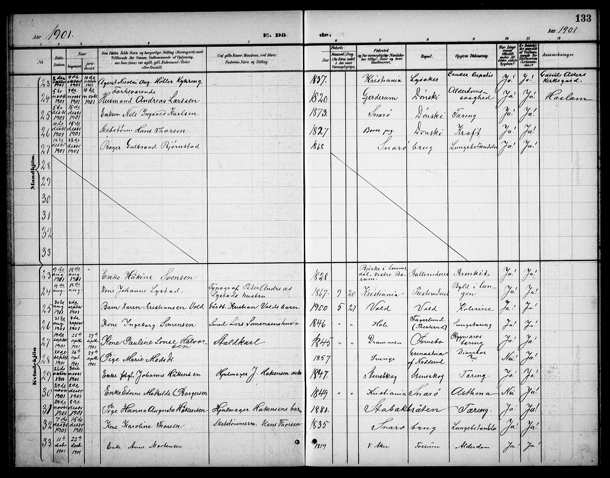 Østre Bærum prestekontor Kirkebøker, AV/SAO-A-10887/G/Ga/L0001: Parish register (copy) no. 1, 1898-1913, p. 133