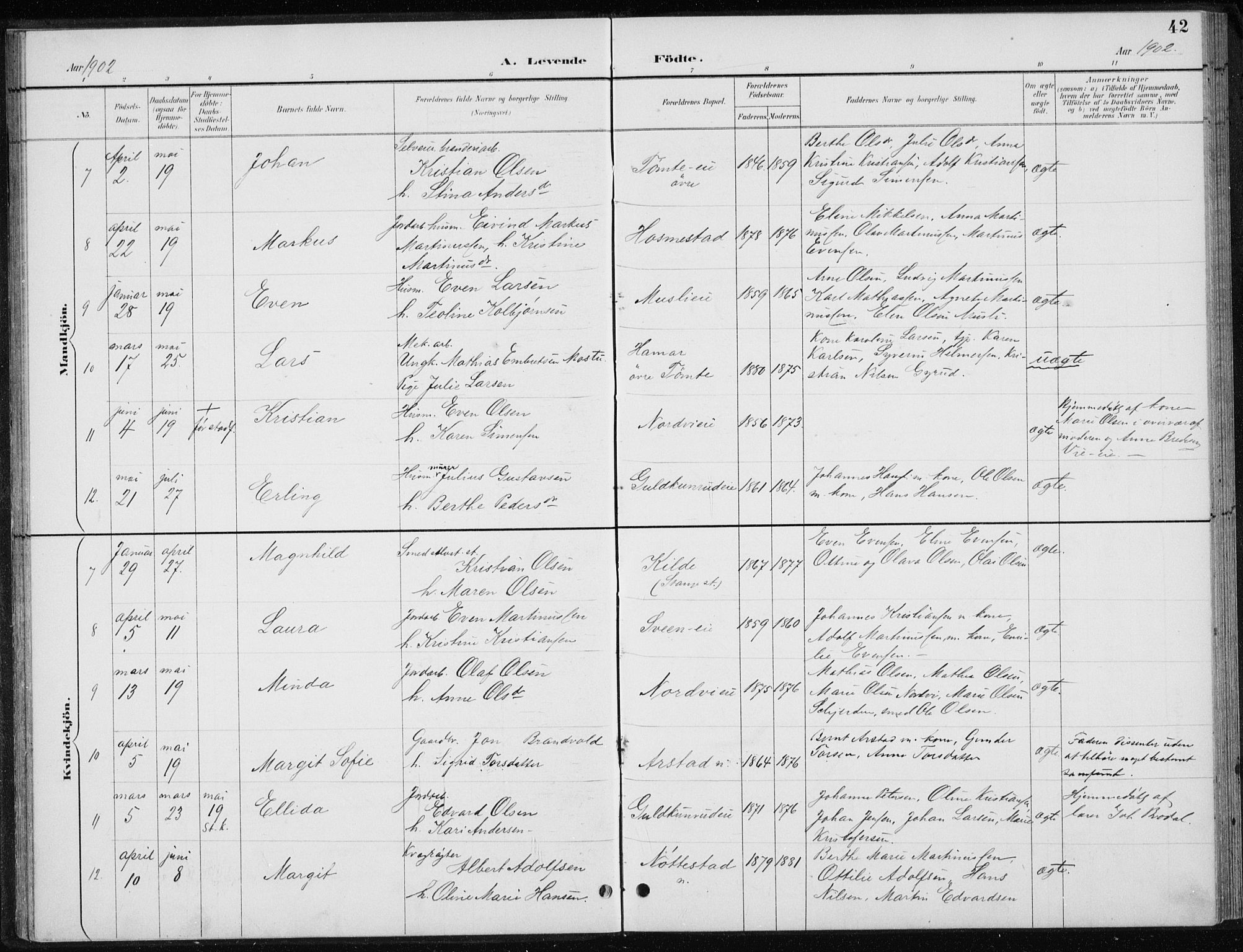 Stange prestekontor, AV/SAH-PREST-002/L/L0010: Parish register (copy) no. 10, 1894-1905, p. 42