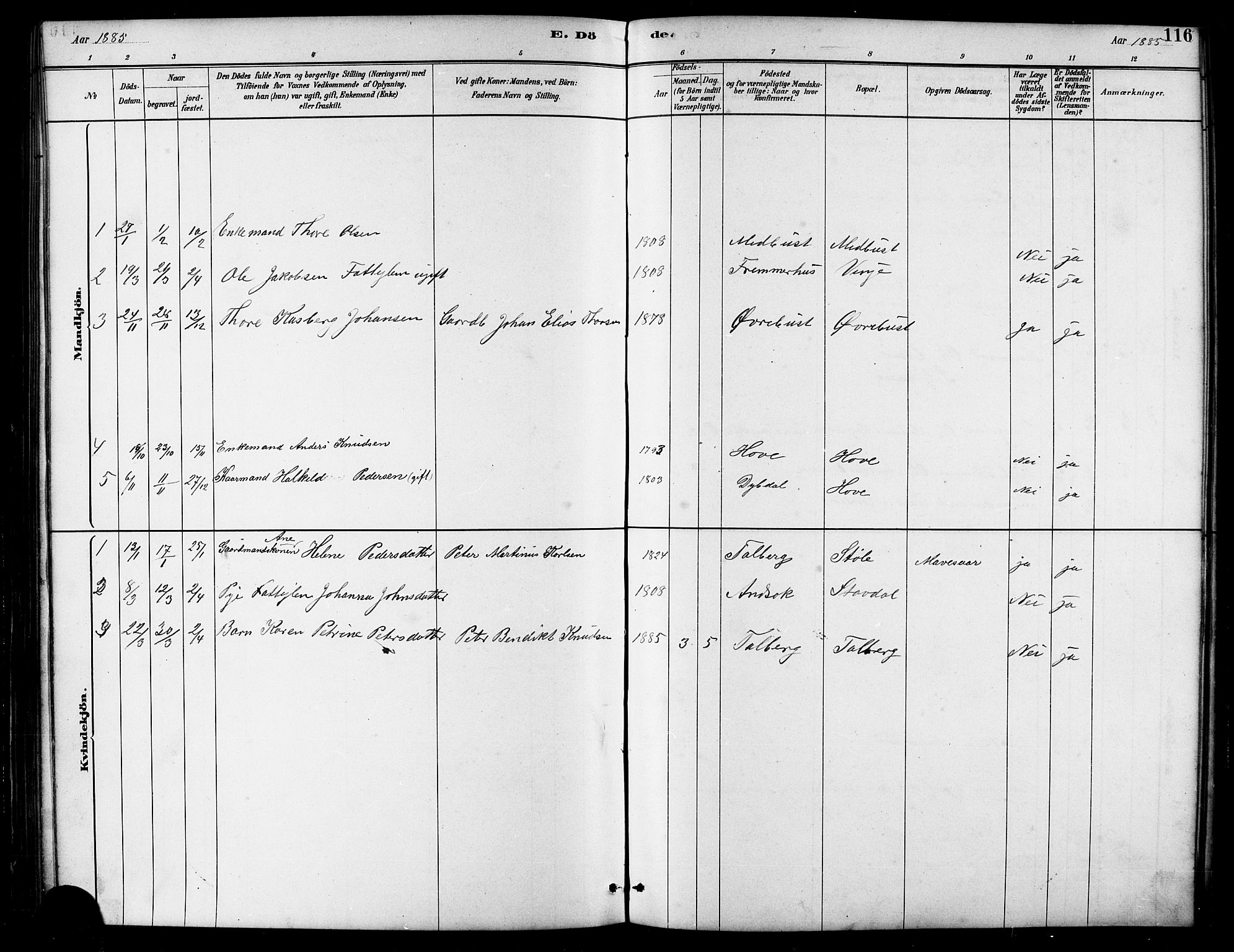 Ministerialprotokoller, klokkerbøker og fødselsregistre - Møre og Romsdal, SAT/A-1454/521/L0302: Parish register (copy) no. 521C03, 1882-1907, p. 116