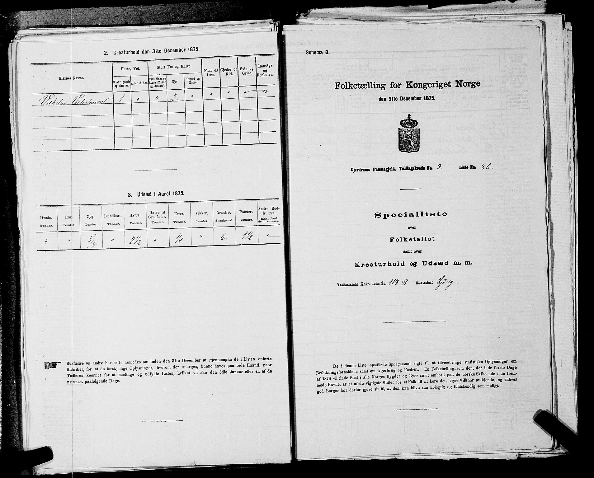 RA, 1875 census for 0234P Gjerdrum, 1875, p. 555