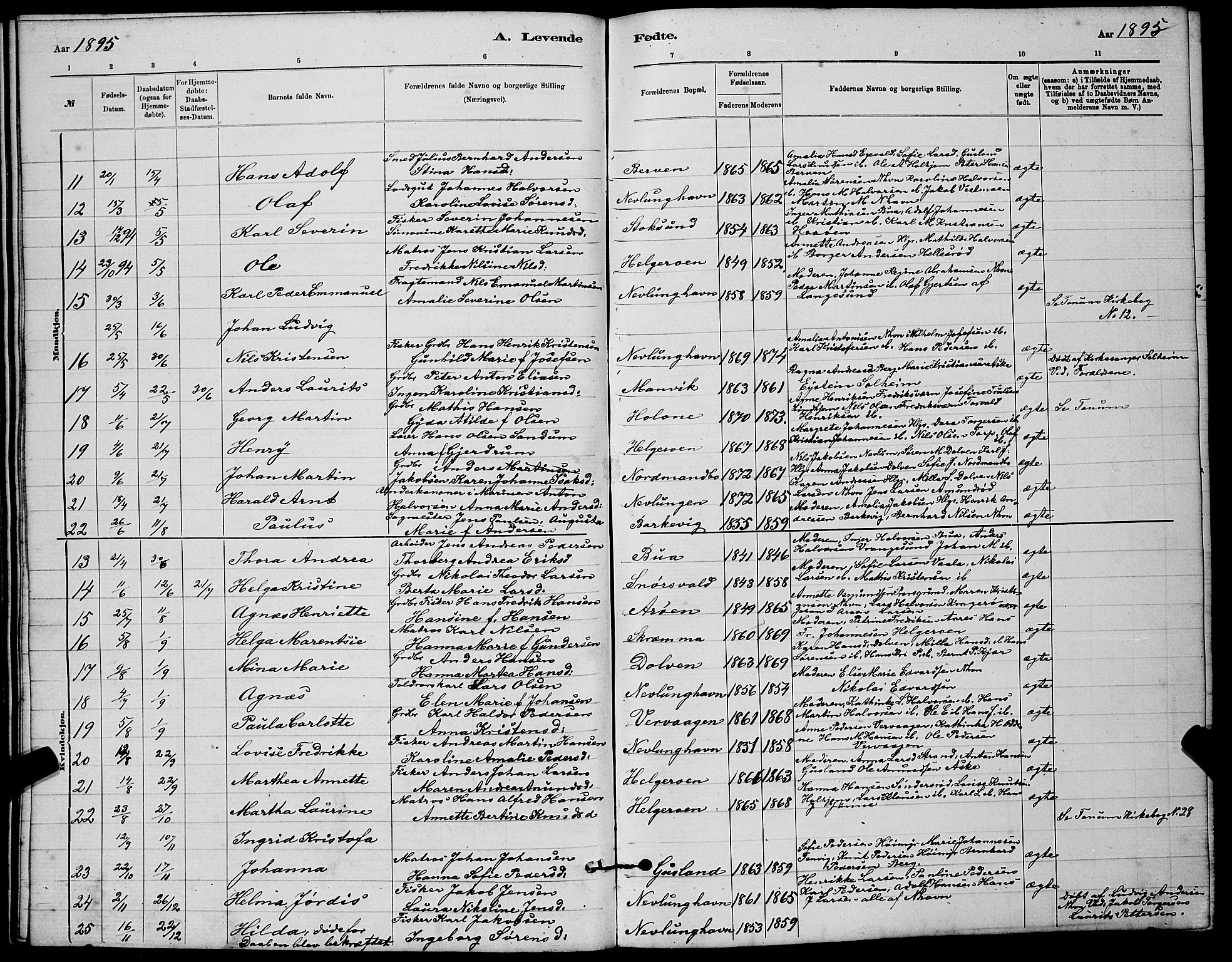 Brunlanes kirkebøker, AV/SAKO-A-342/G/Gb/L0002: Parish register (copy) no. II 2, 1878-1902