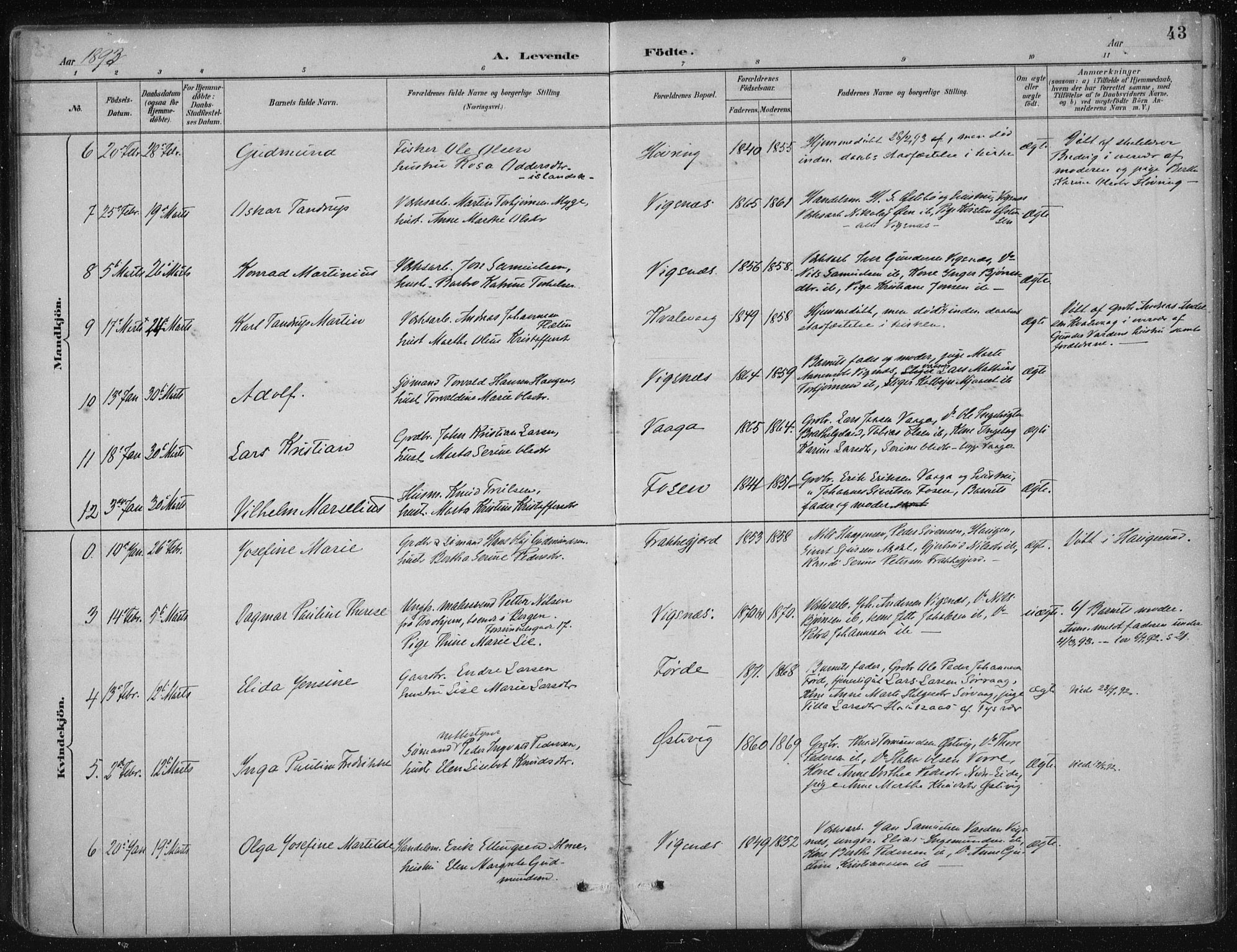 Avaldsnes sokneprestkontor, AV/SAST-A -101851/H/Ha/Haa/L0017: Parish register (official) no. A 17, 1889-1920, p. 43