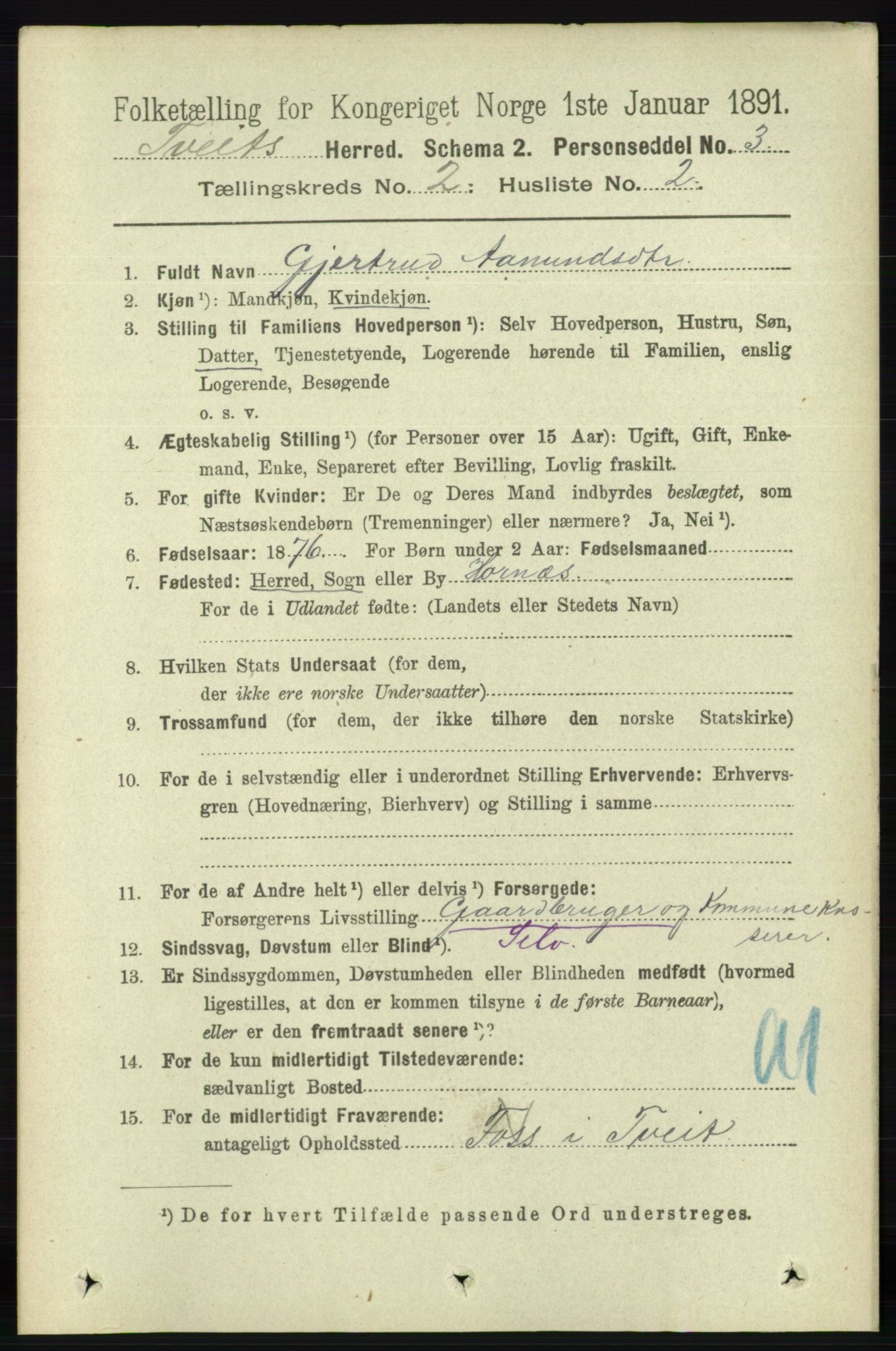 RA, 1891 census for 1013 Tveit, 1891, p. 529