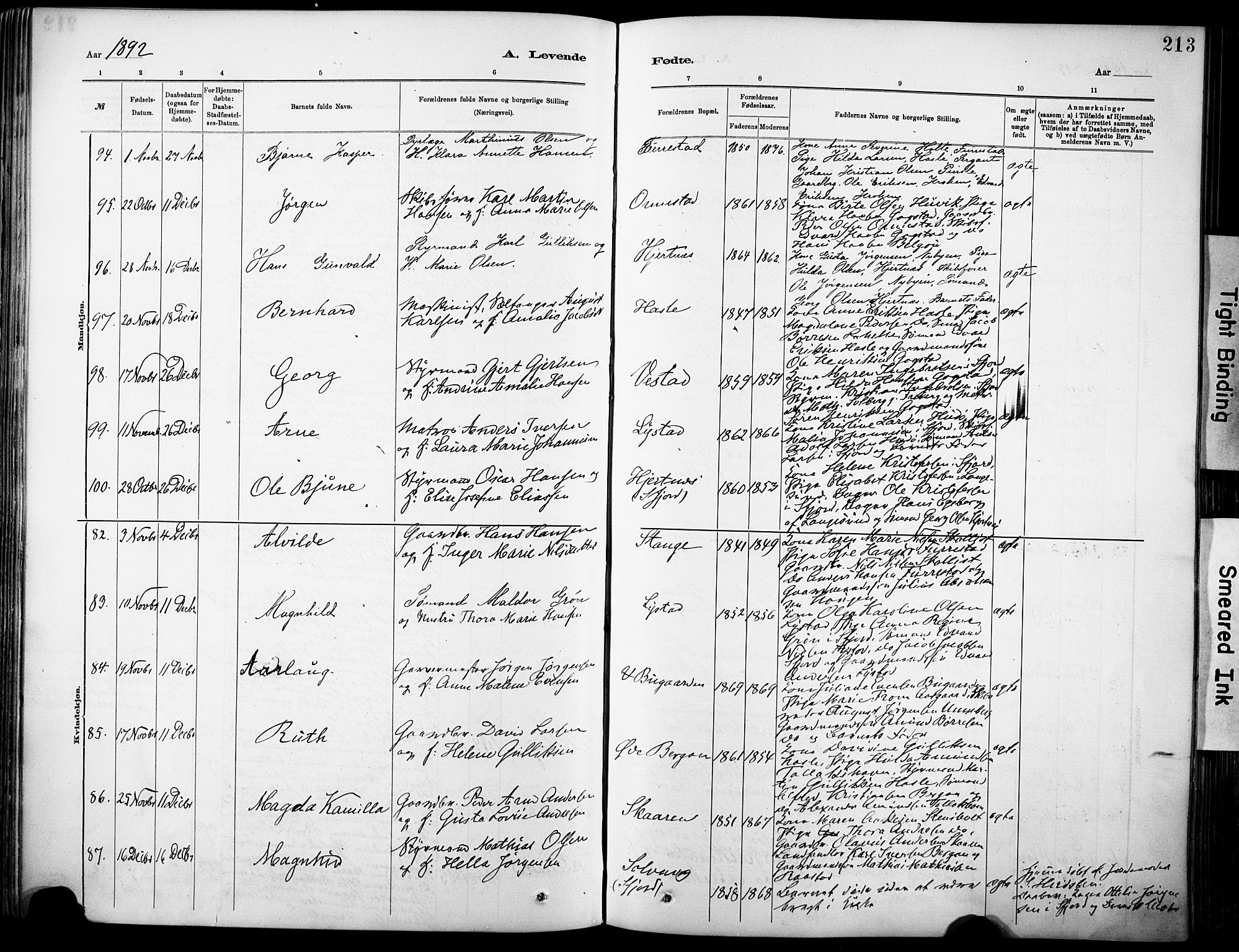 Sandar kirkebøker, AV/SAKO-A-243/F/Fa/L0012: Parish register (official) no. 12, 1883-1895, p. 213