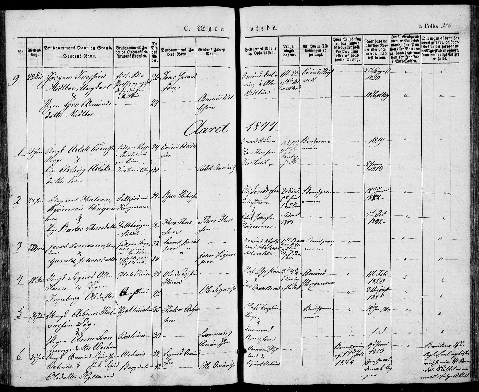 Vinje kirkebøker, SAKO/A-312/F/Fa/L0004: Parish register (official) no. I 4, 1843-1869, p. 246