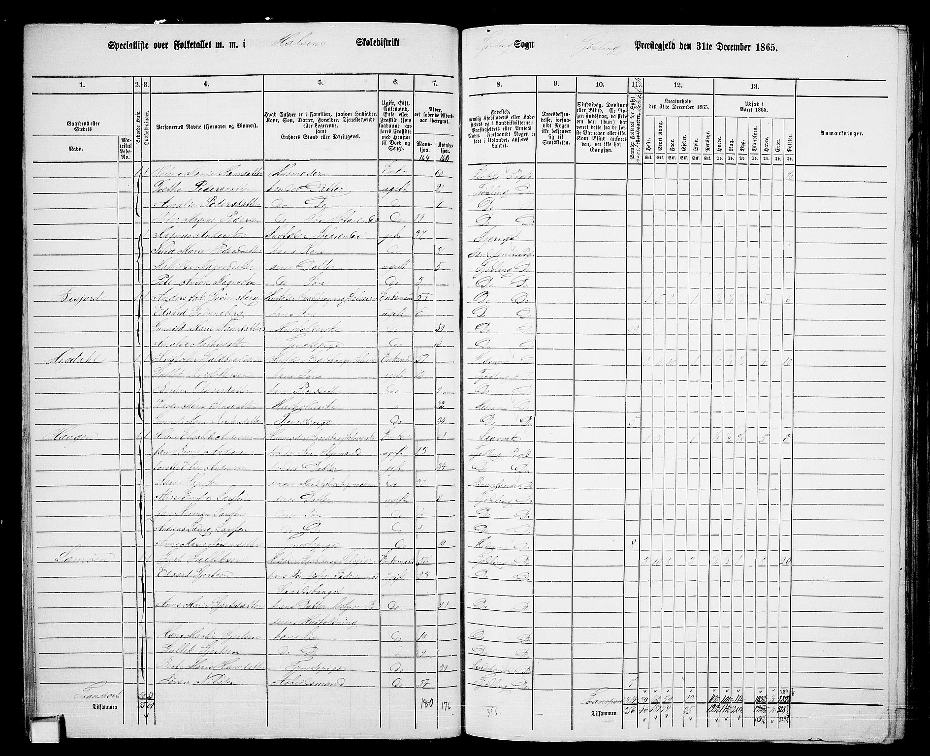 RA, 1865 census for Tjølling, 1865, p. 51