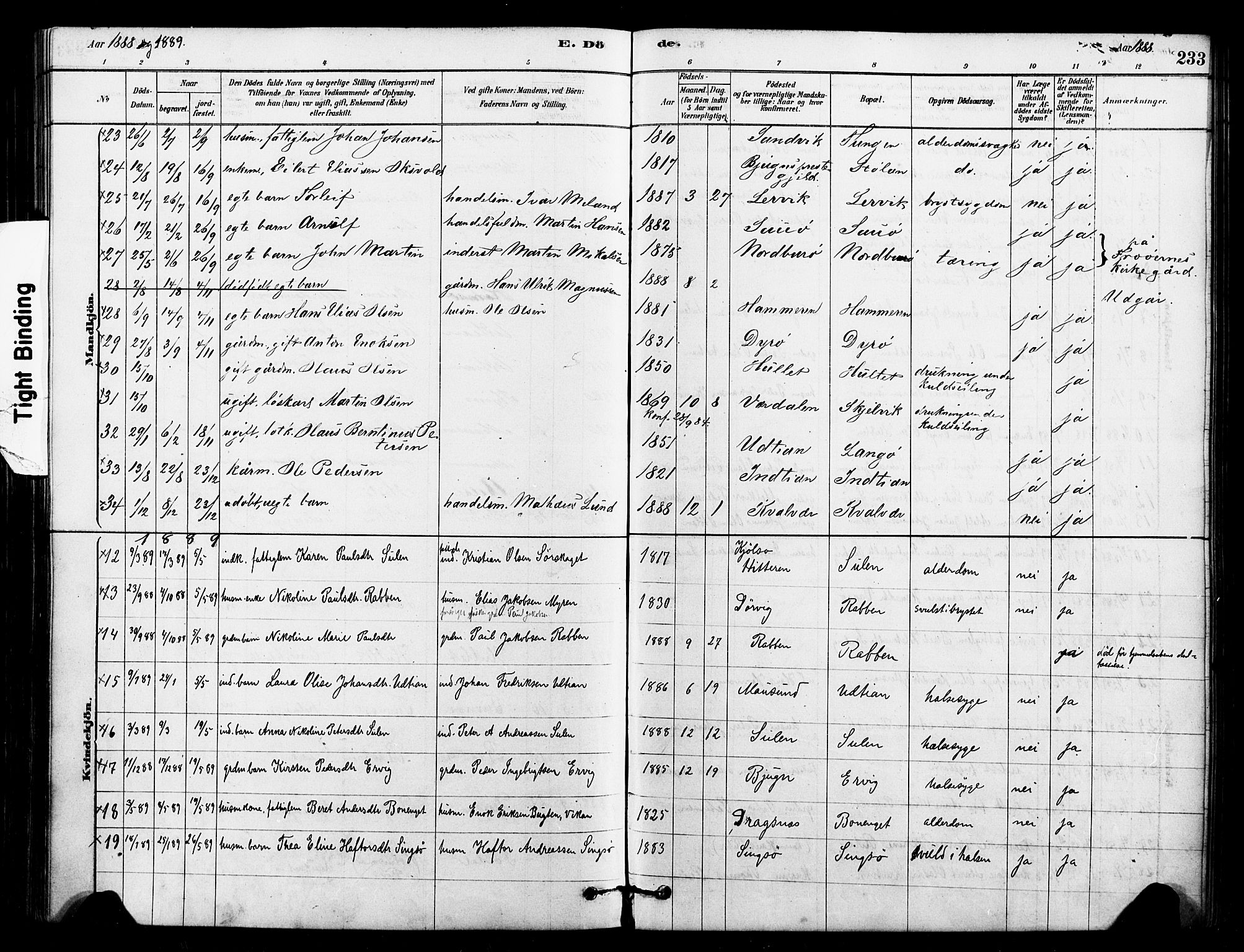 Ministerialprotokoller, klokkerbøker og fødselsregistre - Sør-Trøndelag, SAT/A-1456/640/L0578: Parish register (official) no. 640A03, 1879-1889, p. 233