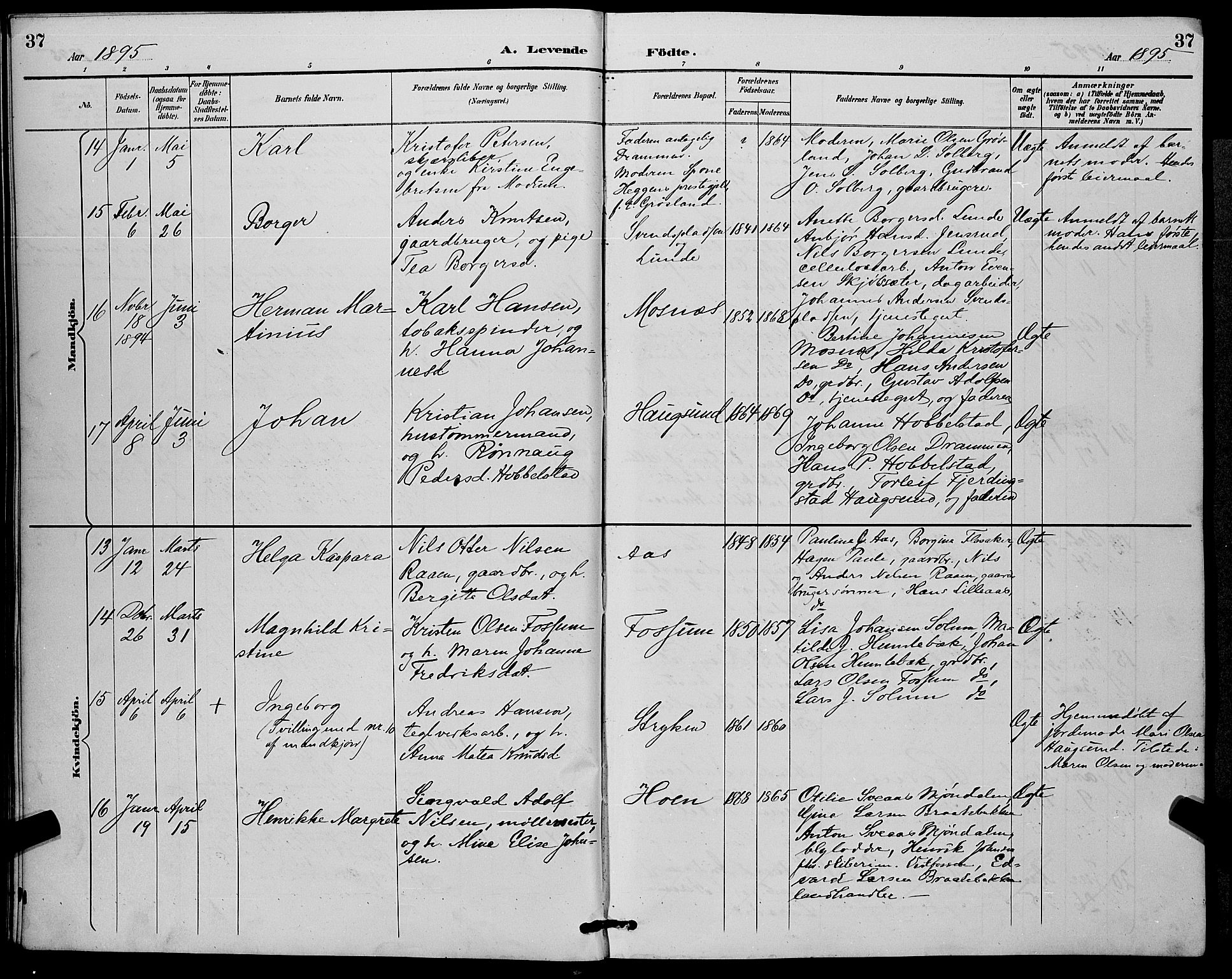 Eiker kirkebøker, AV/SAKO-A-4/G/Ga/L0007: Parish register (copy) no. I 7, 1893-1902, p. 37