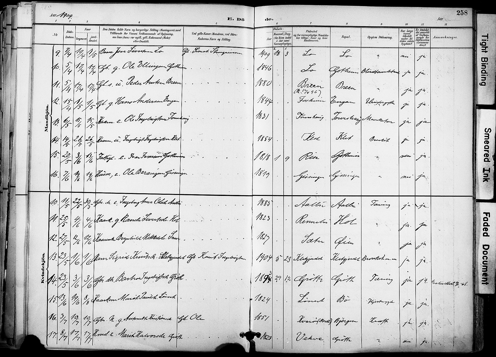 Ministerialprotokoller, klokkerbøker og fødselsregistre - Sør-Trøndelag, SAT/A-1456/678/L0902: Parish register (official) no. 678A11, 1895-1911, p. 258