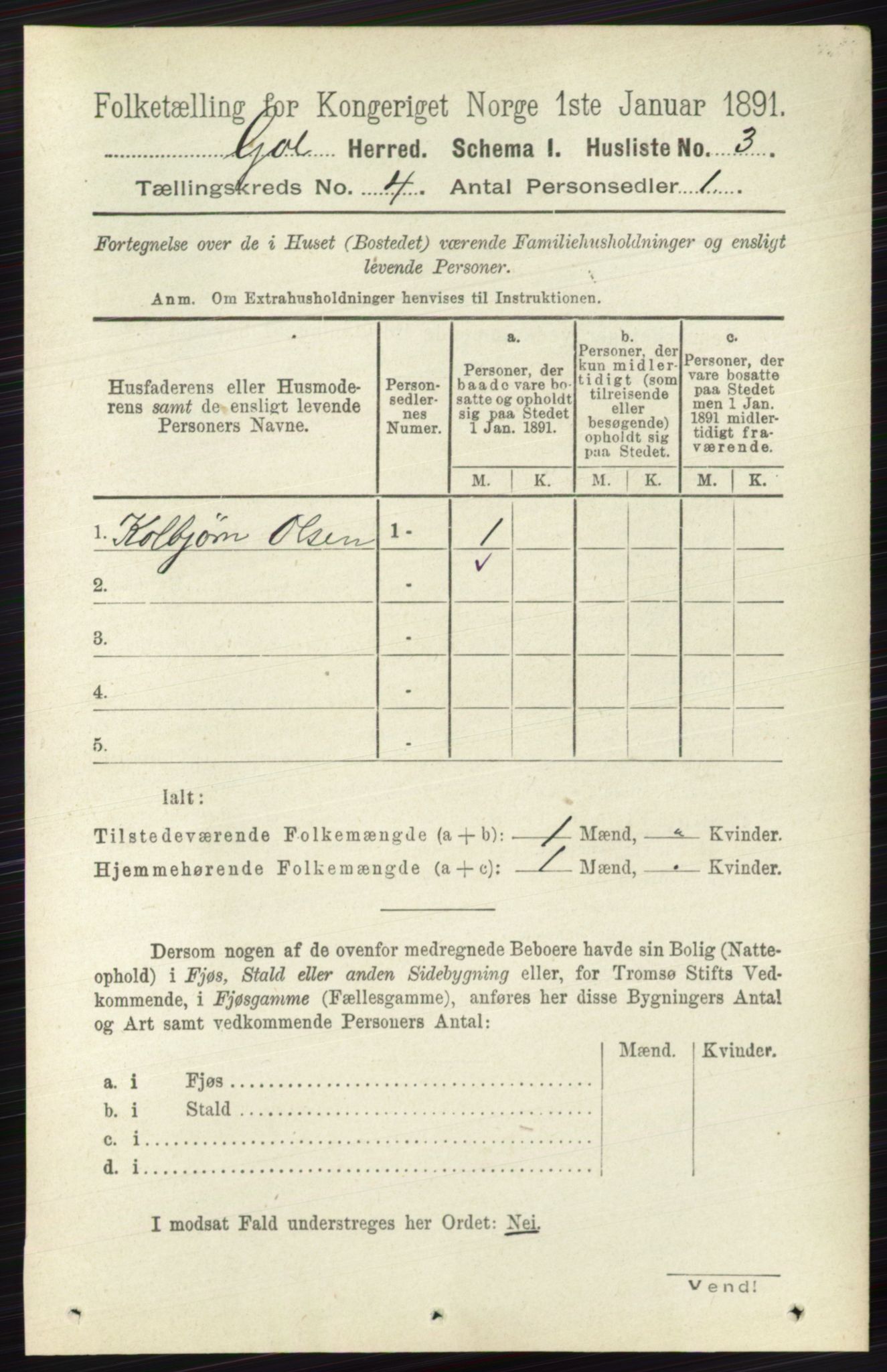 RA, 1891 census for 0617 Gol og Hemsedal, 1891, p. 1713