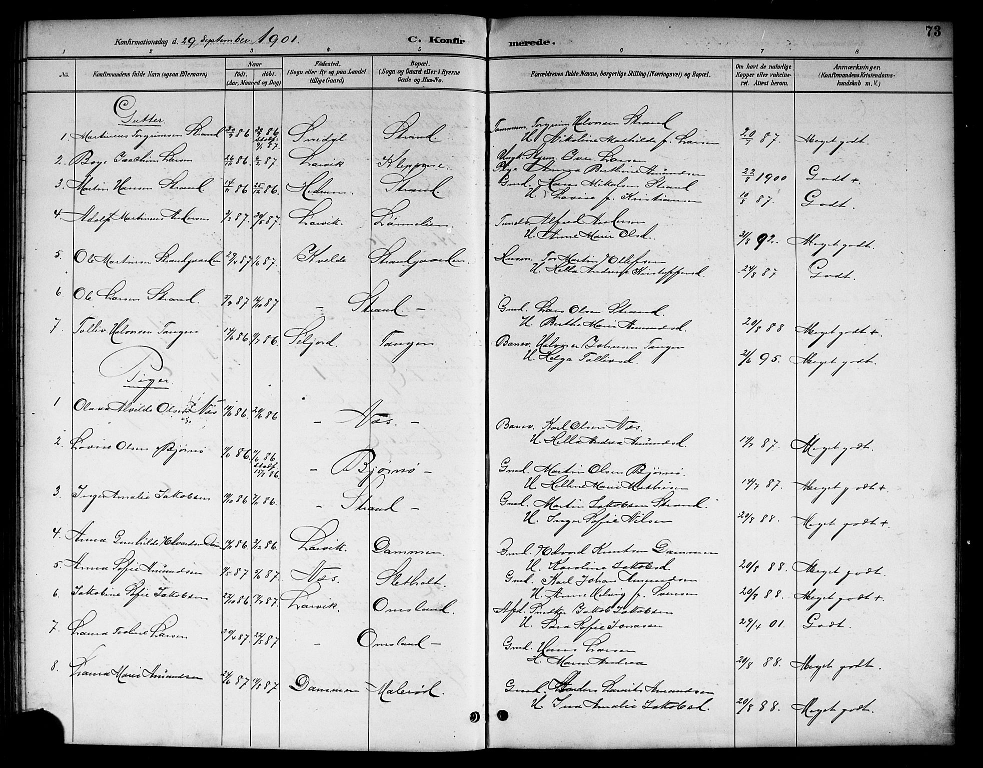 Brunlanes kirkebøker, SAKO/A-342/G/Gc/L0002: Parish register (copy) no. III 2, 1891-1922, p. 73