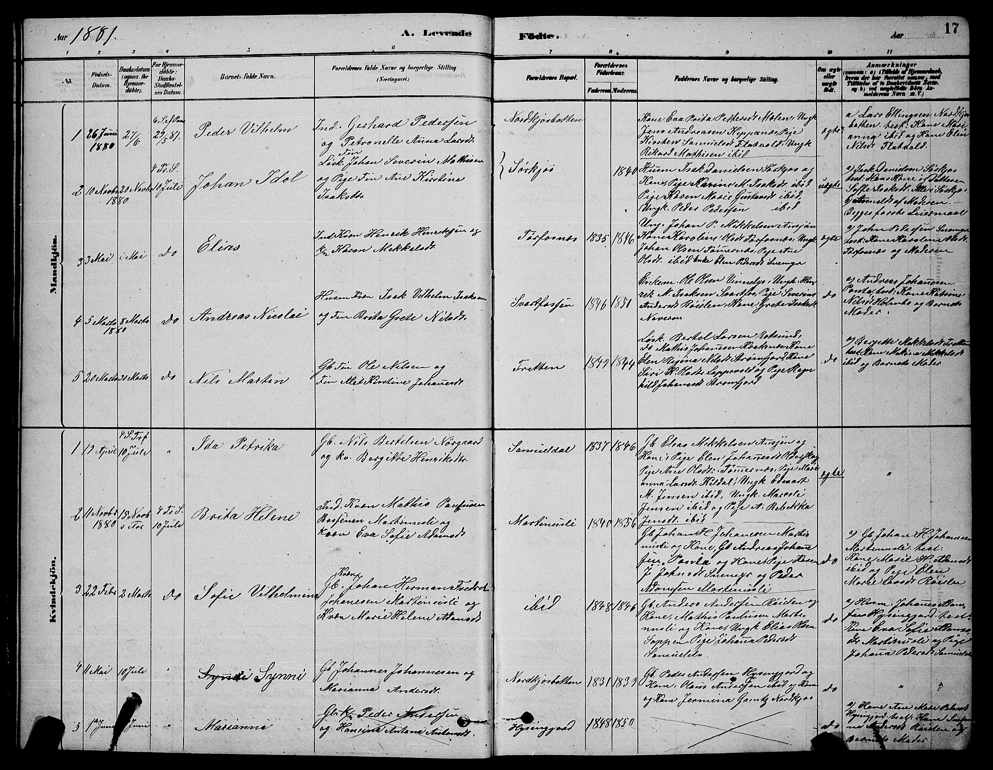 Skjervøy sokneprestkontor, AV/SATØ-S-1300/H/Ha/Hab/L0020klokker: Parish register (copy) no. 20, 1878-1892, p. 17