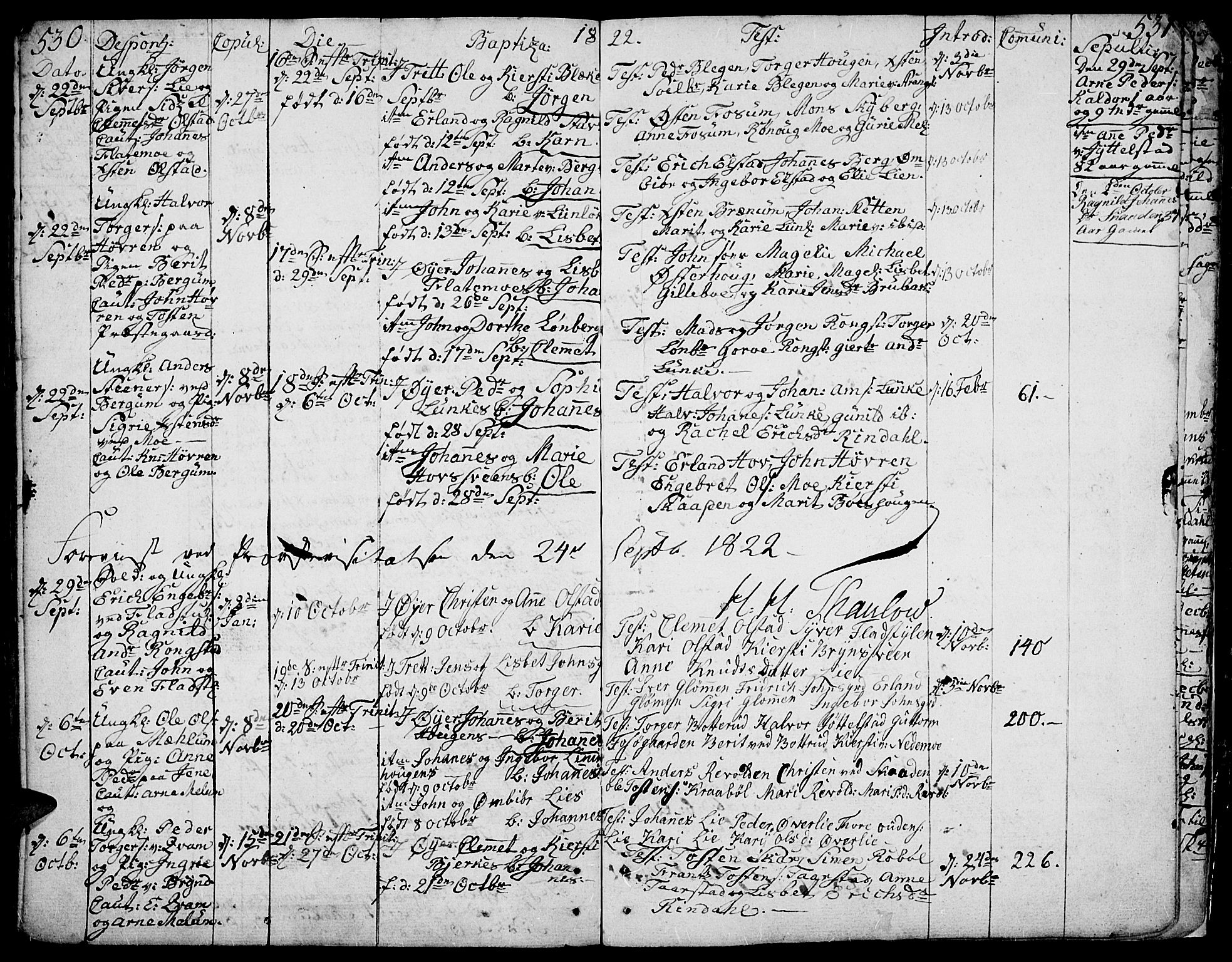 Øyer prestekontor, SAH/PREST-084/H/Ha/Haa/L0003: Parish register (official) no. 3, 1784-1824, p. 530-531