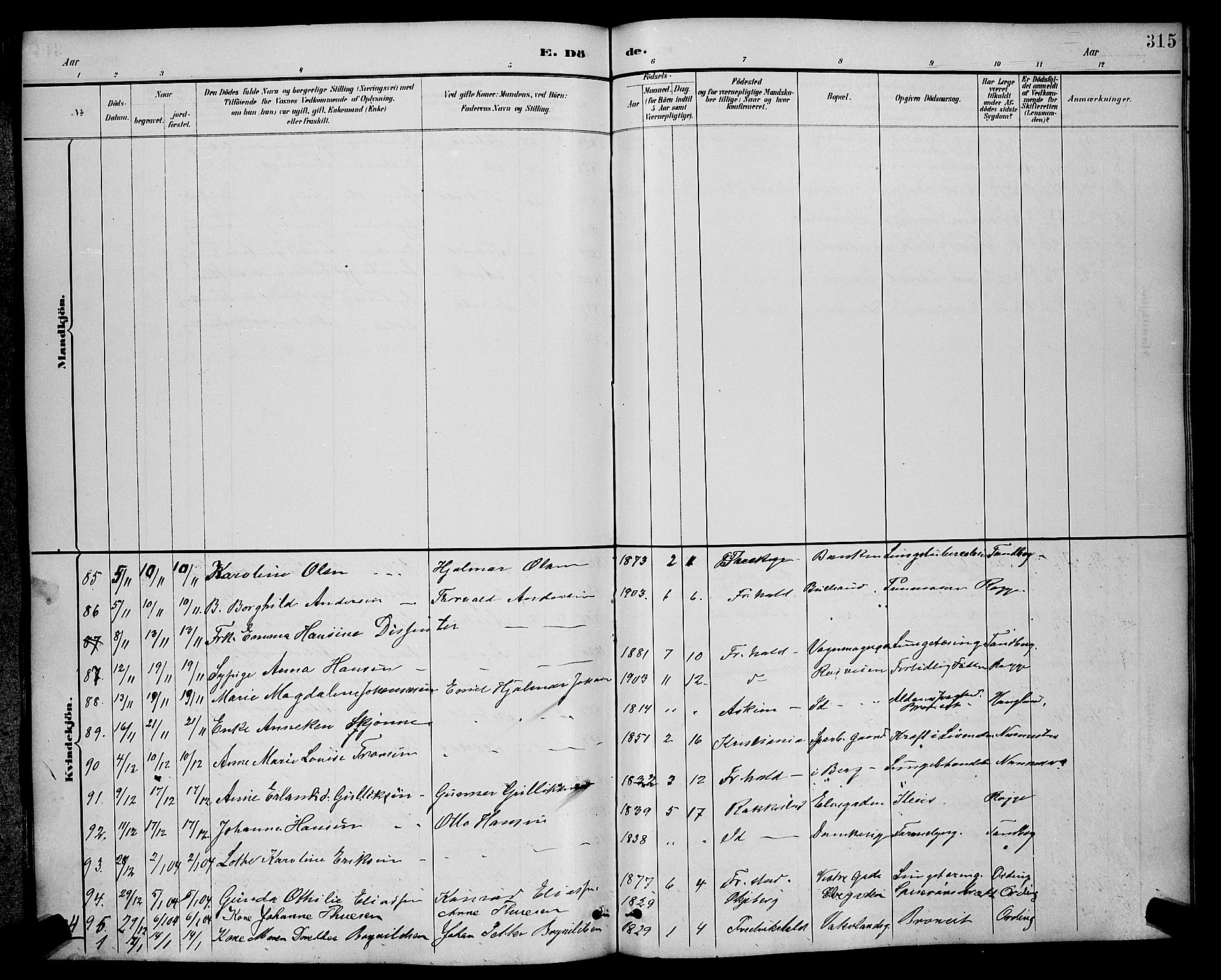 Halden prestekontor Kirkebøker, AV/SAO-A-10909/G/Ga/L0009: Parish register (copy) no. 9, 1885-1908, p. 315