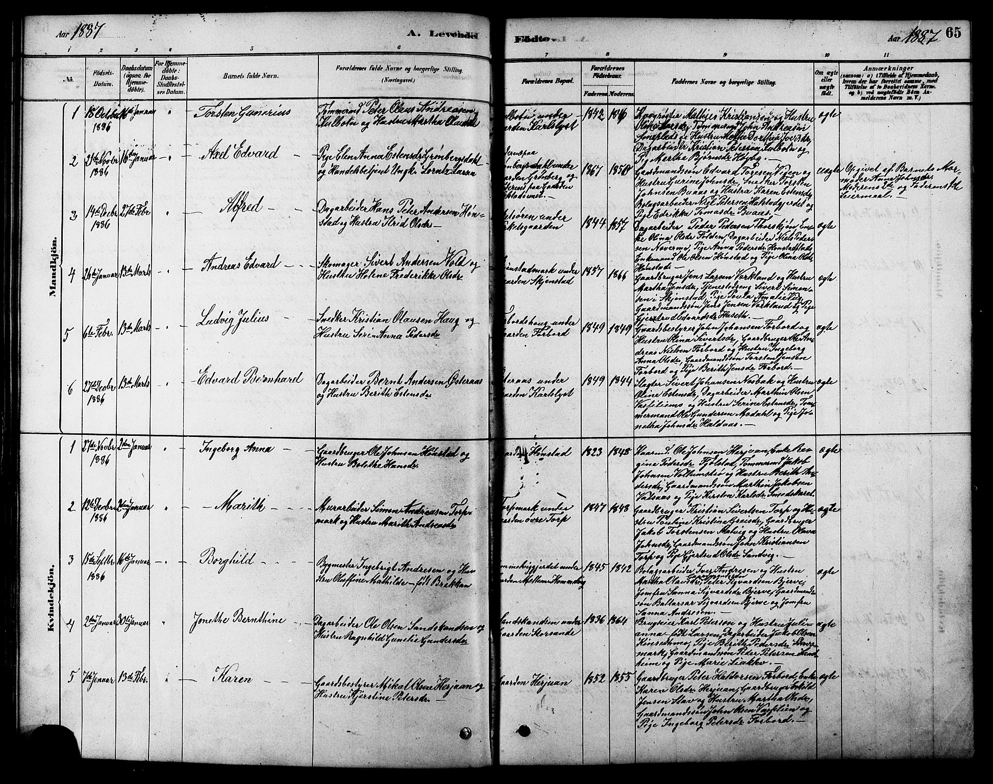 Ministerialprotokoller, klokkerbøker og fødselsregistre - Sør-Trøndelag, SAT/A-1456/616/L0423: Parish register (copy) no. 616C06, 1878-1903, p. 65
