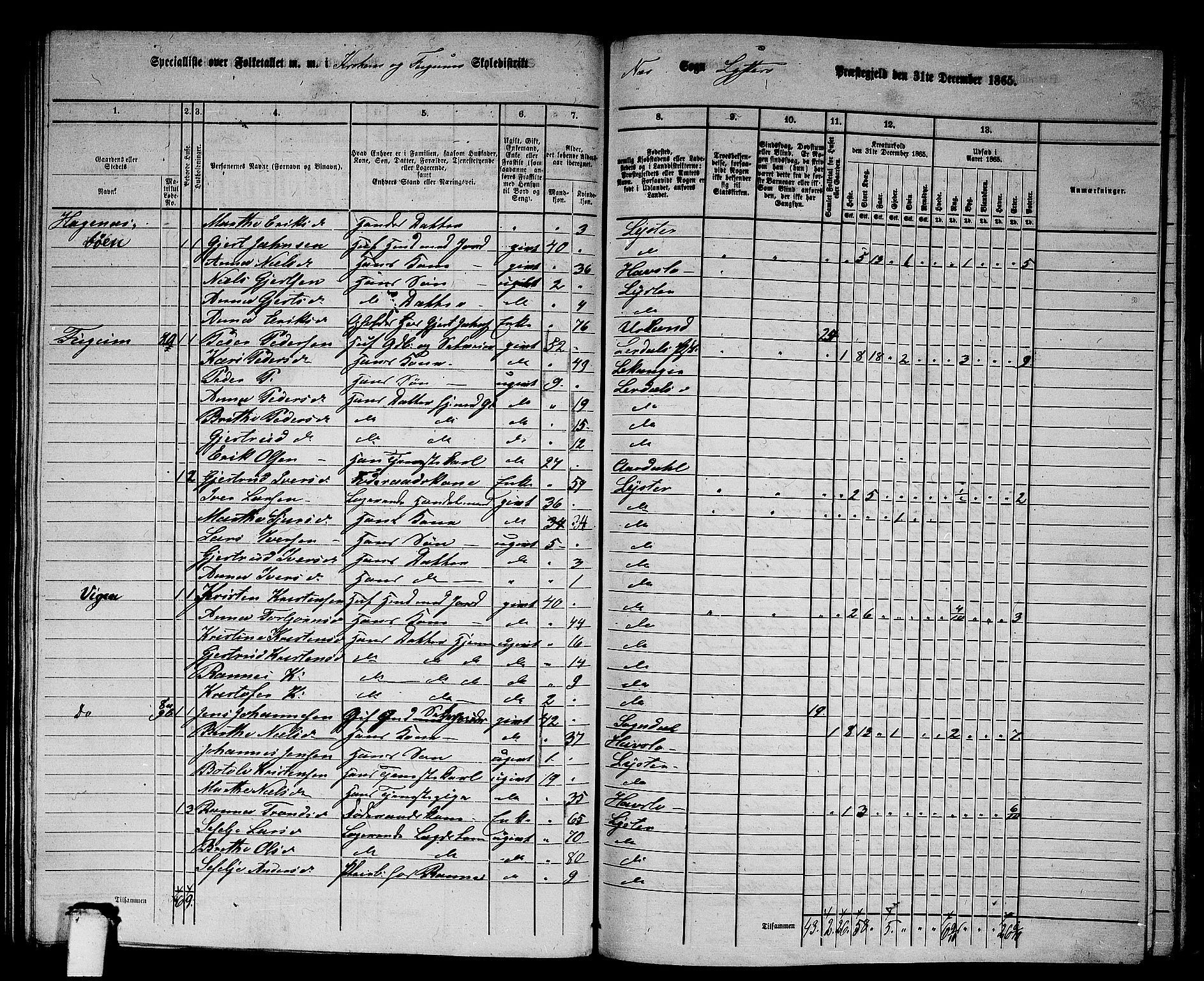 RA, 1865 census for Luster, 1865, p. 132