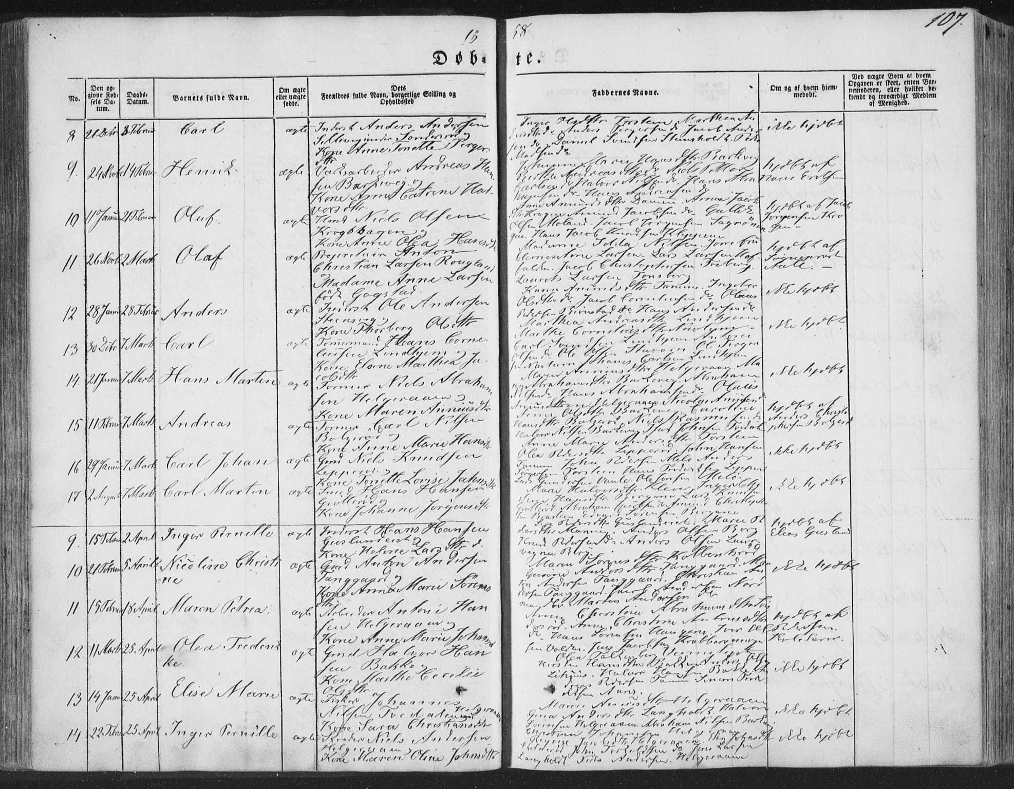 Brunlanes kirkebøker, AV/SAKO-A-342/F/Fa/L0004: Parish register (official) no. I 4, 1846-1862, p. 107