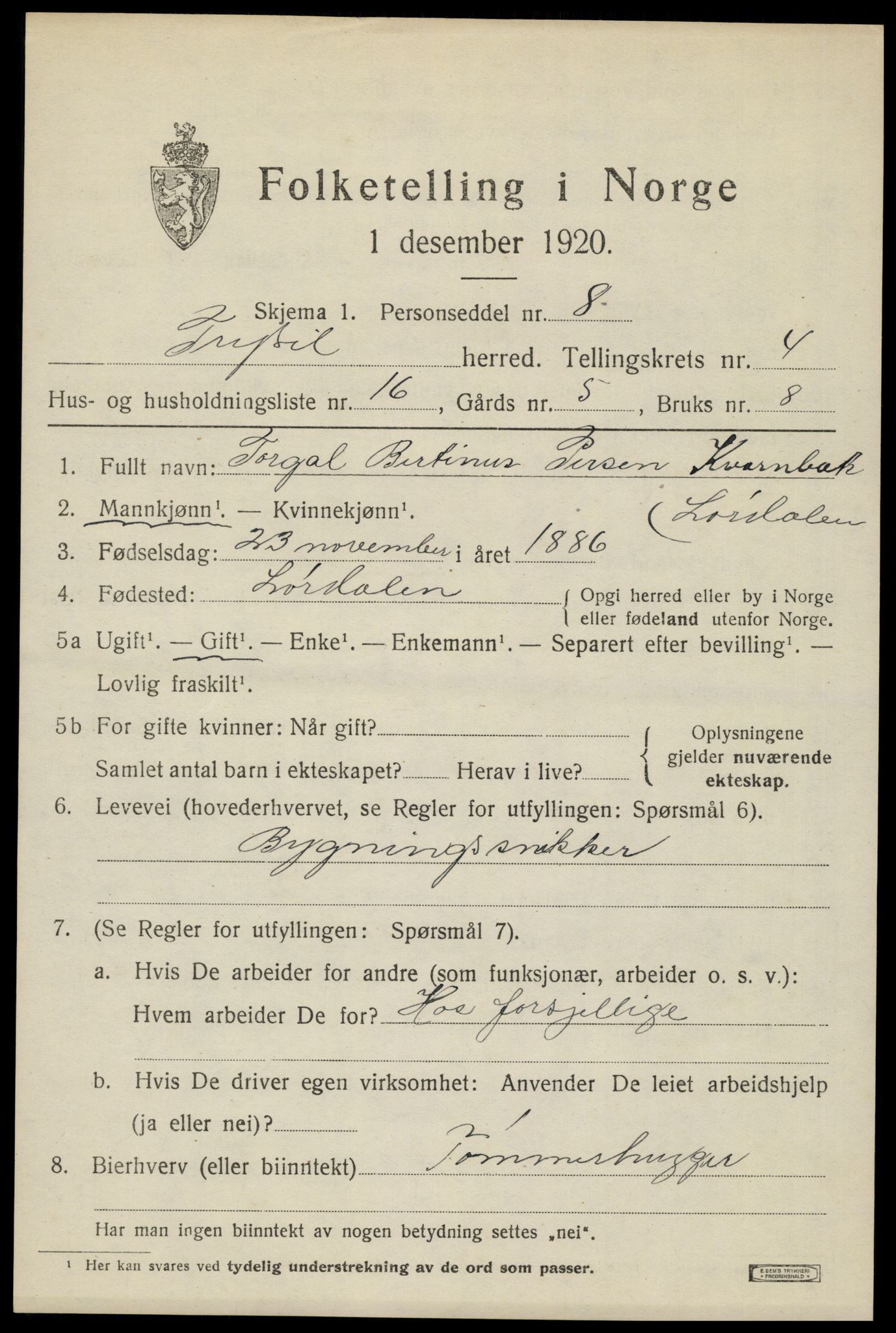 SAH, 1920 census for Trysil, 1920, p. 4305