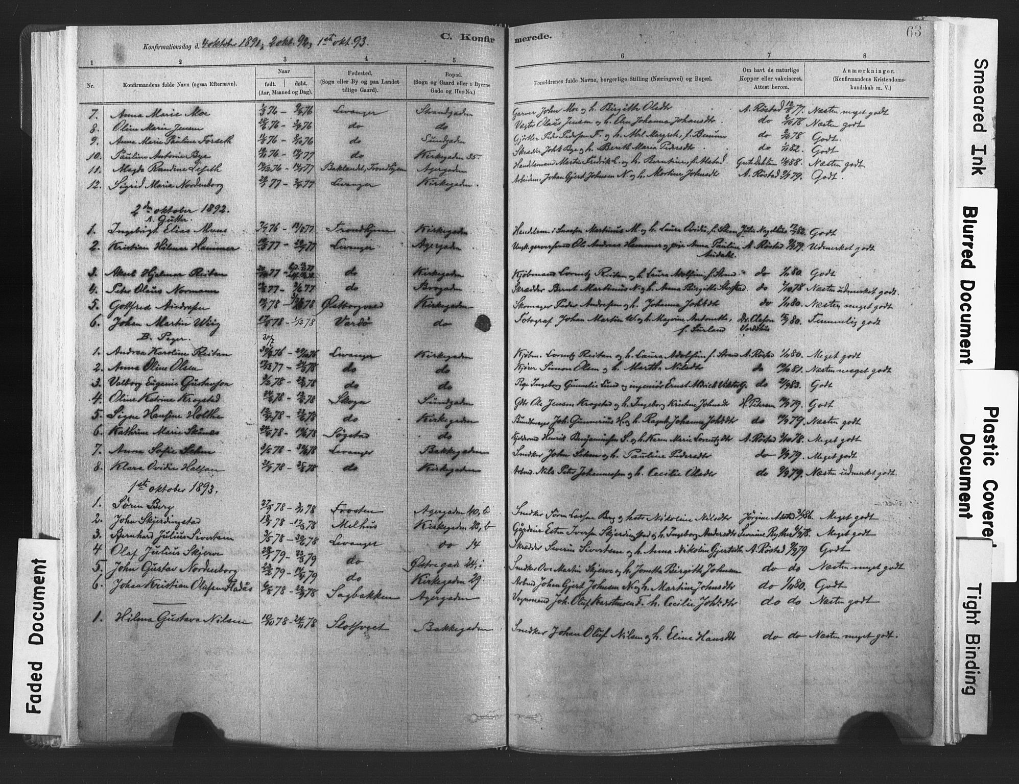 Ministerialprotokoller, klokkerbøker og fødselsregistre - Nord-Trøndelag, SAT/A-1458/720/L0189: Parish register (official) no. 720A05, 1880-1911, p. 63