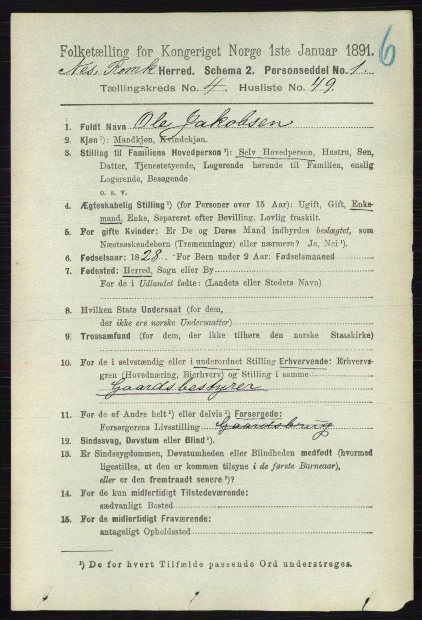 RA, 1891 census for 0236 Nes, 1891, p. 2534