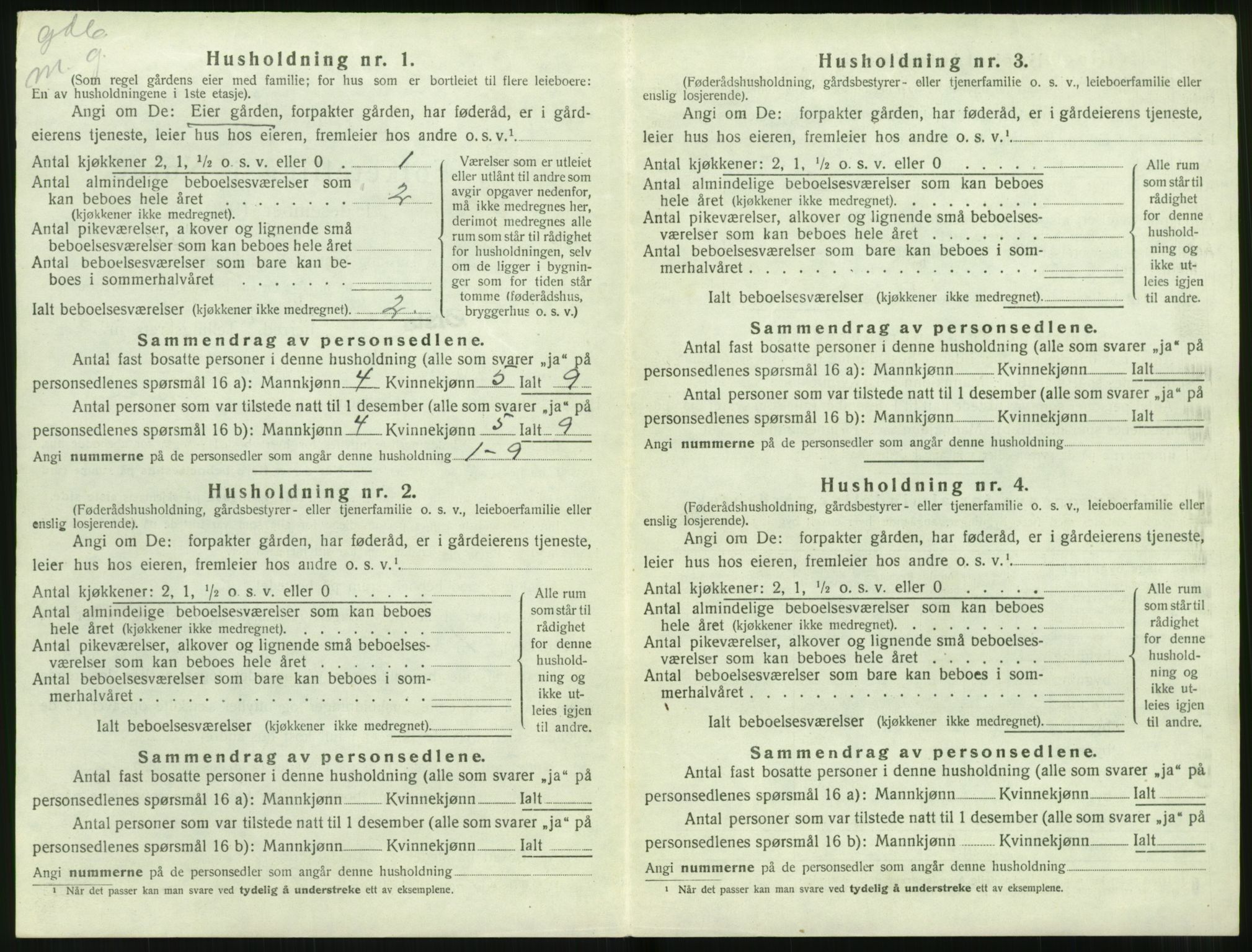 SAT, 1920 census for Ørsta, 1920, p. 443