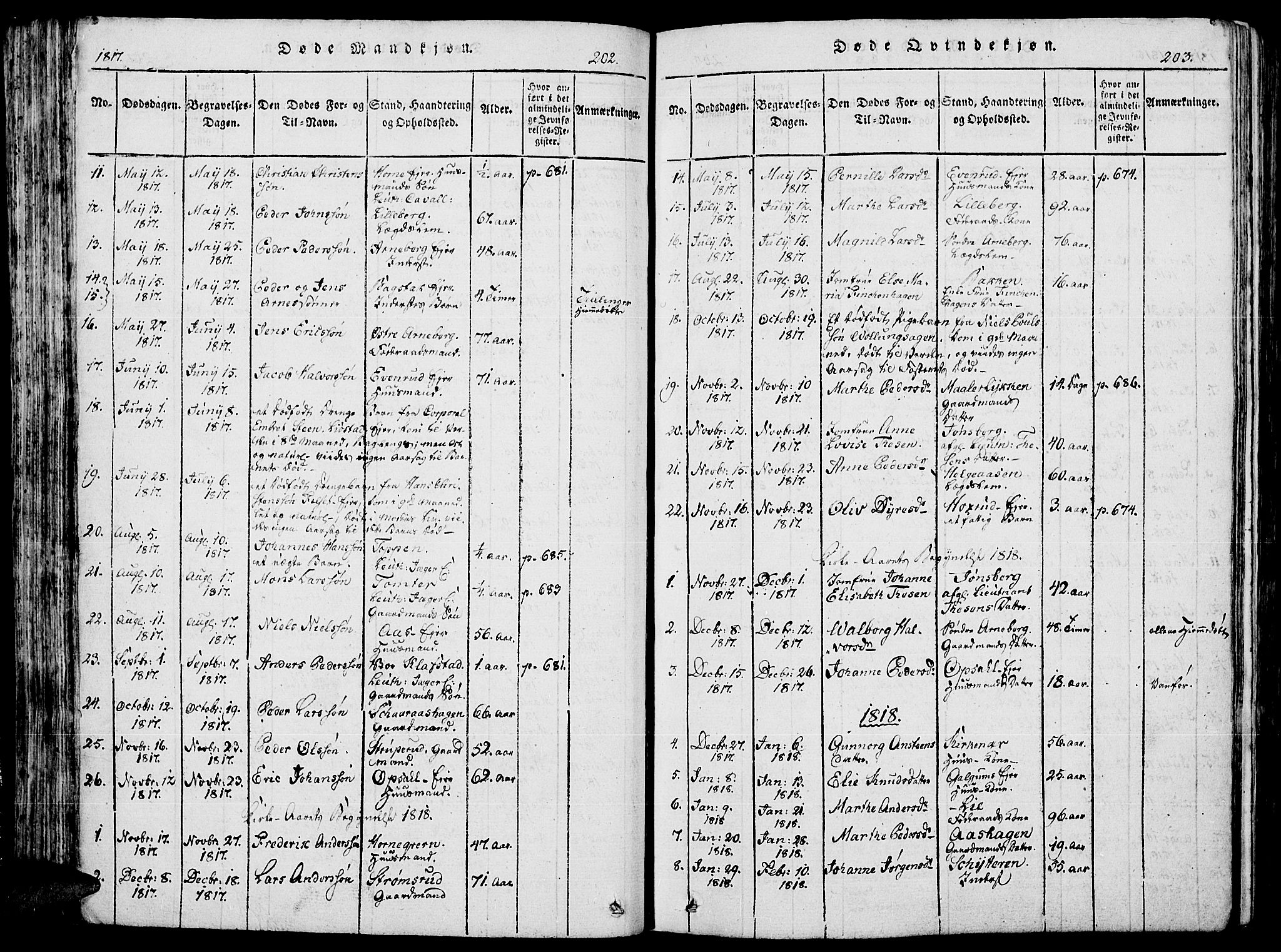 Romedal prestekontor, AV/SAH-PREST-004/K/L0002: Parish register (official) no. 2, 1814-1828, p. 202-203