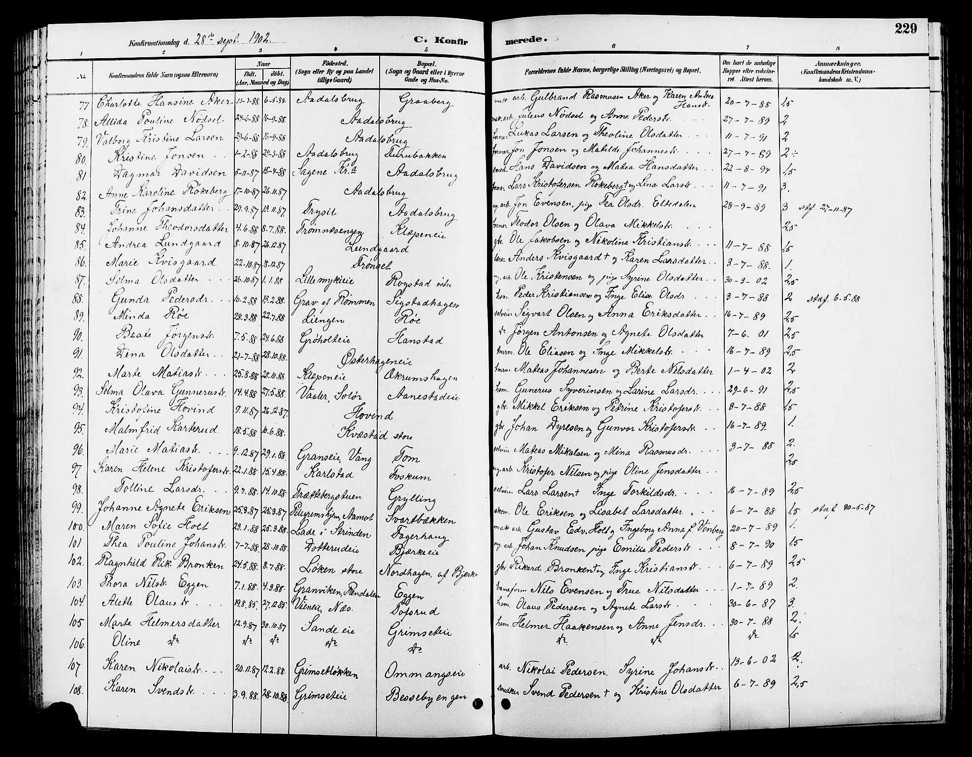 Løten prestekontor, SAH/PREST-022/L/La/L0006: Parish register (copy) no. 6, 1892-1909, p. 229