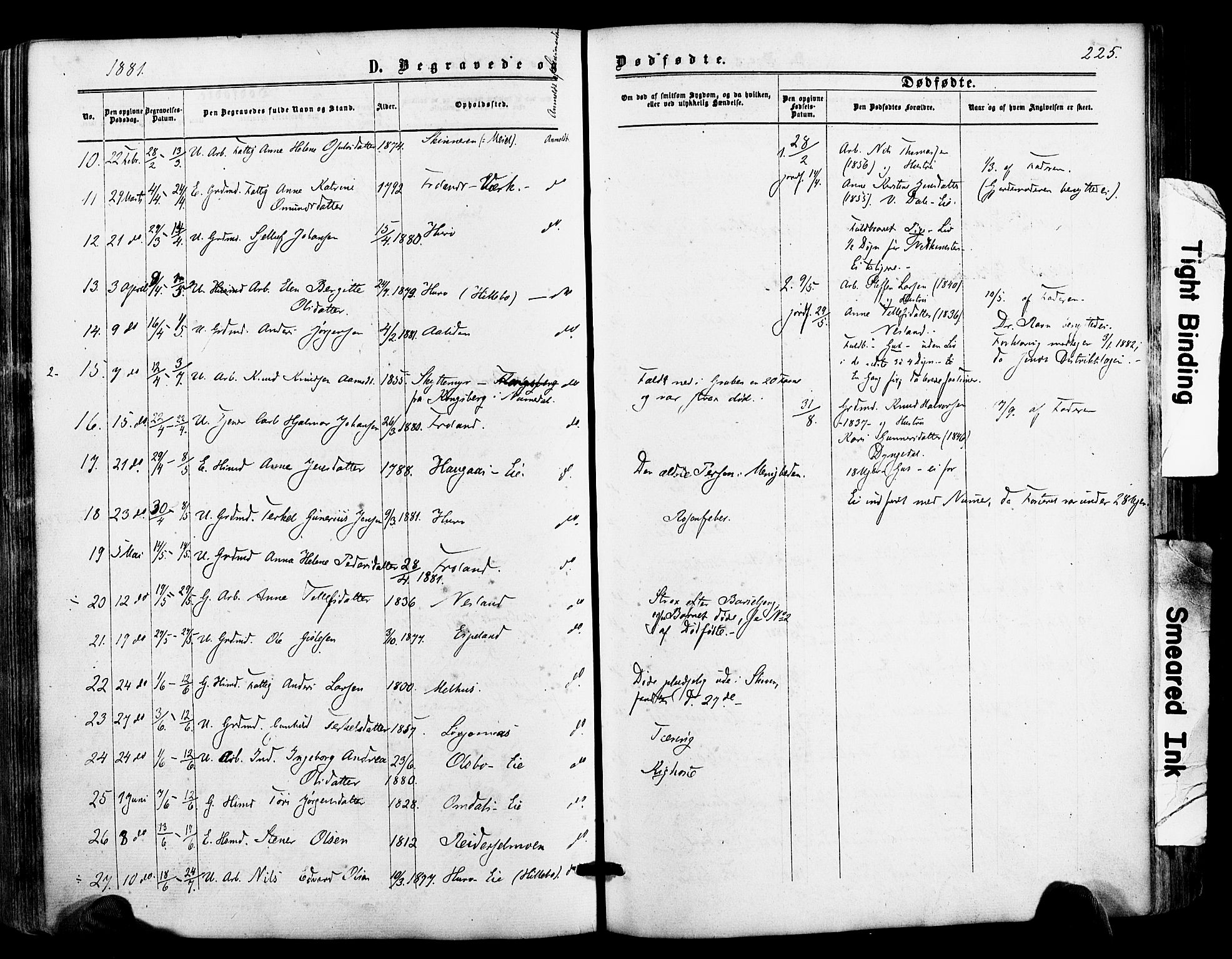 Froland sokneprestkontor, AV/SAK-1111-0013/F/Fa/L0003: Parish register (official) no. A 3, 1864-1881, p. 225