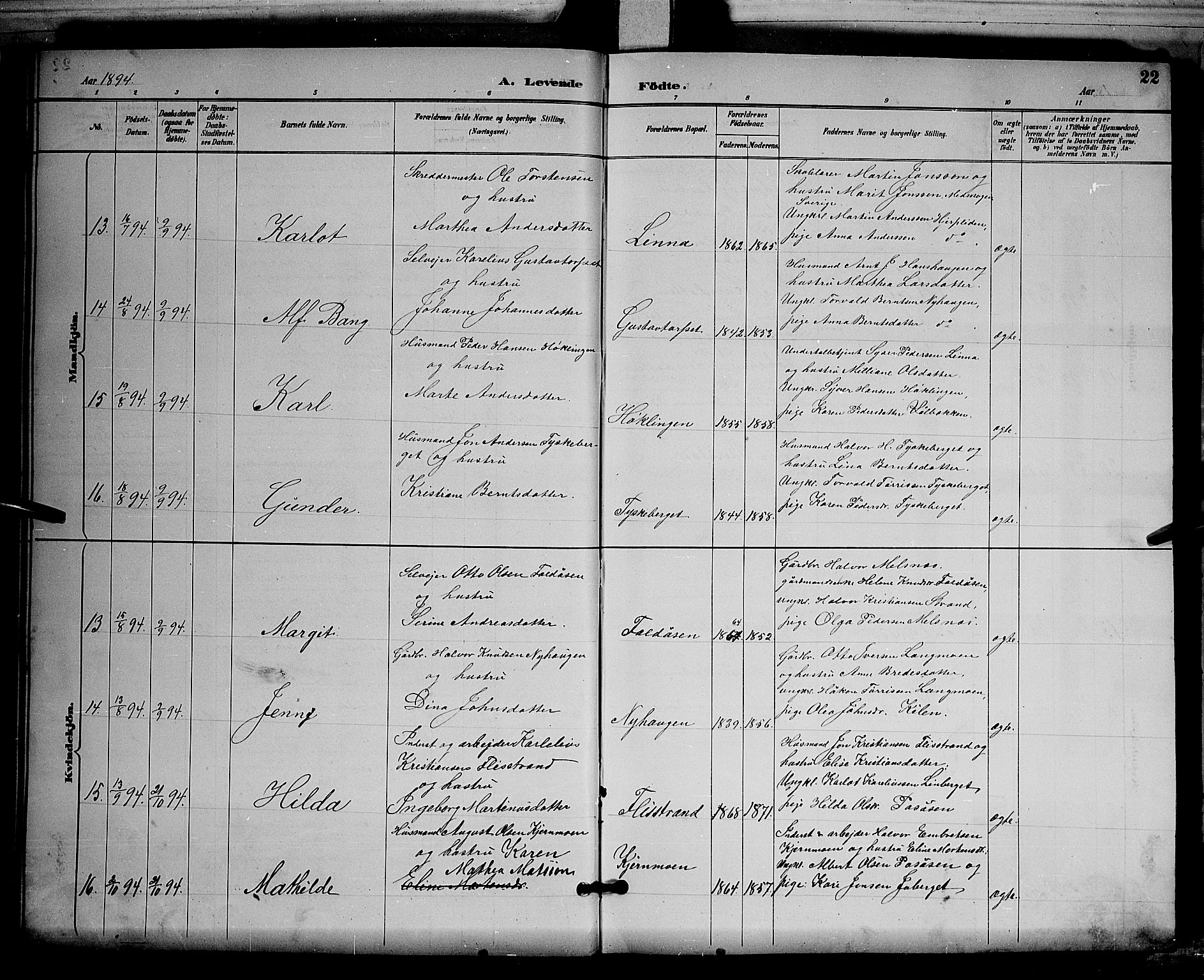 Åsnes prestekontor, AV/SAH-PREST-042/H/Ha/Hab/L0003: Parish register (copy) no. 3, 1890-1902, p. 22