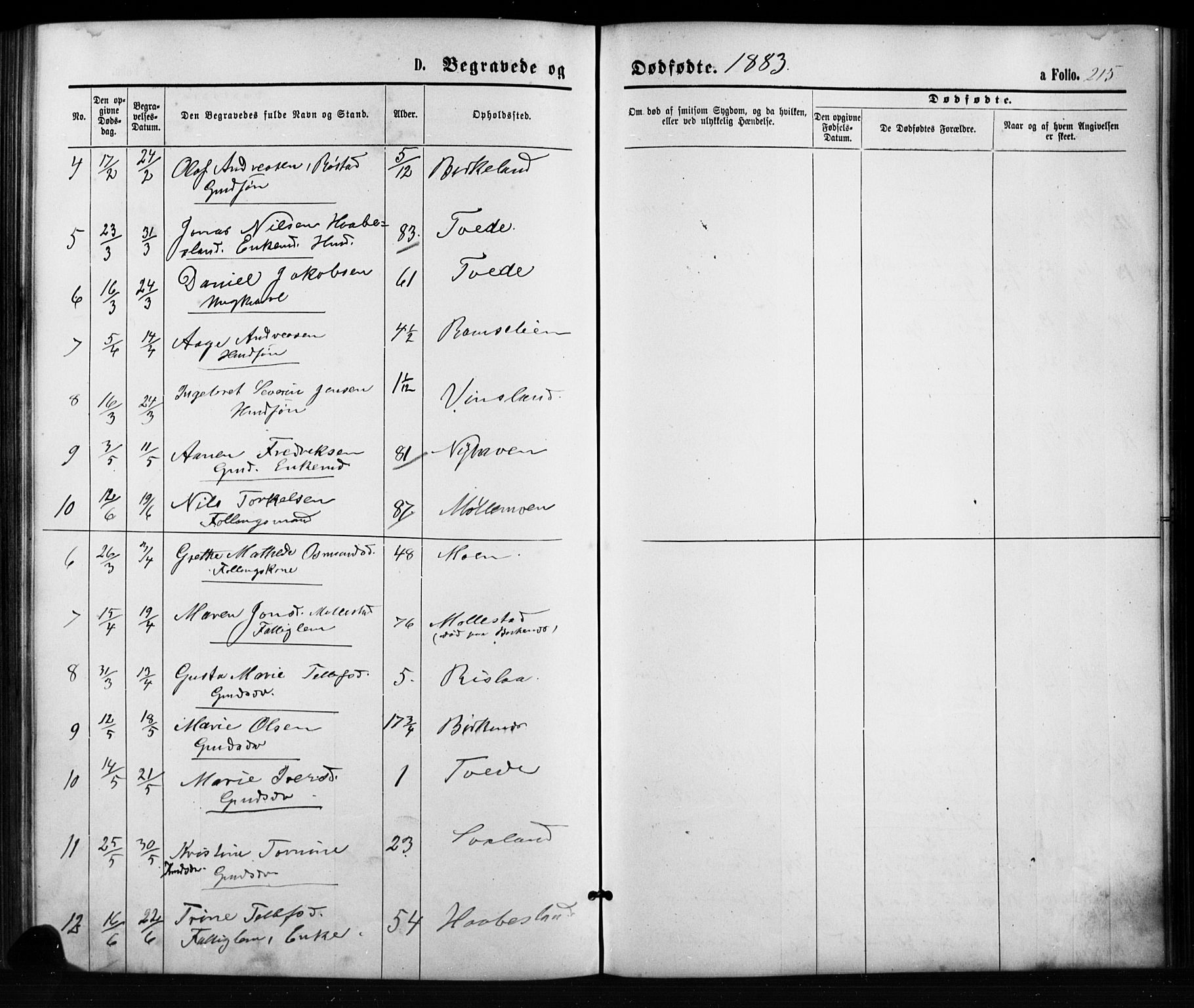 Birkenes sokneprestkontor, AV/SAK-1111-0004/F/Fb/L0003: Parish register (copy) no. B 3, 1876-1892, p. 215