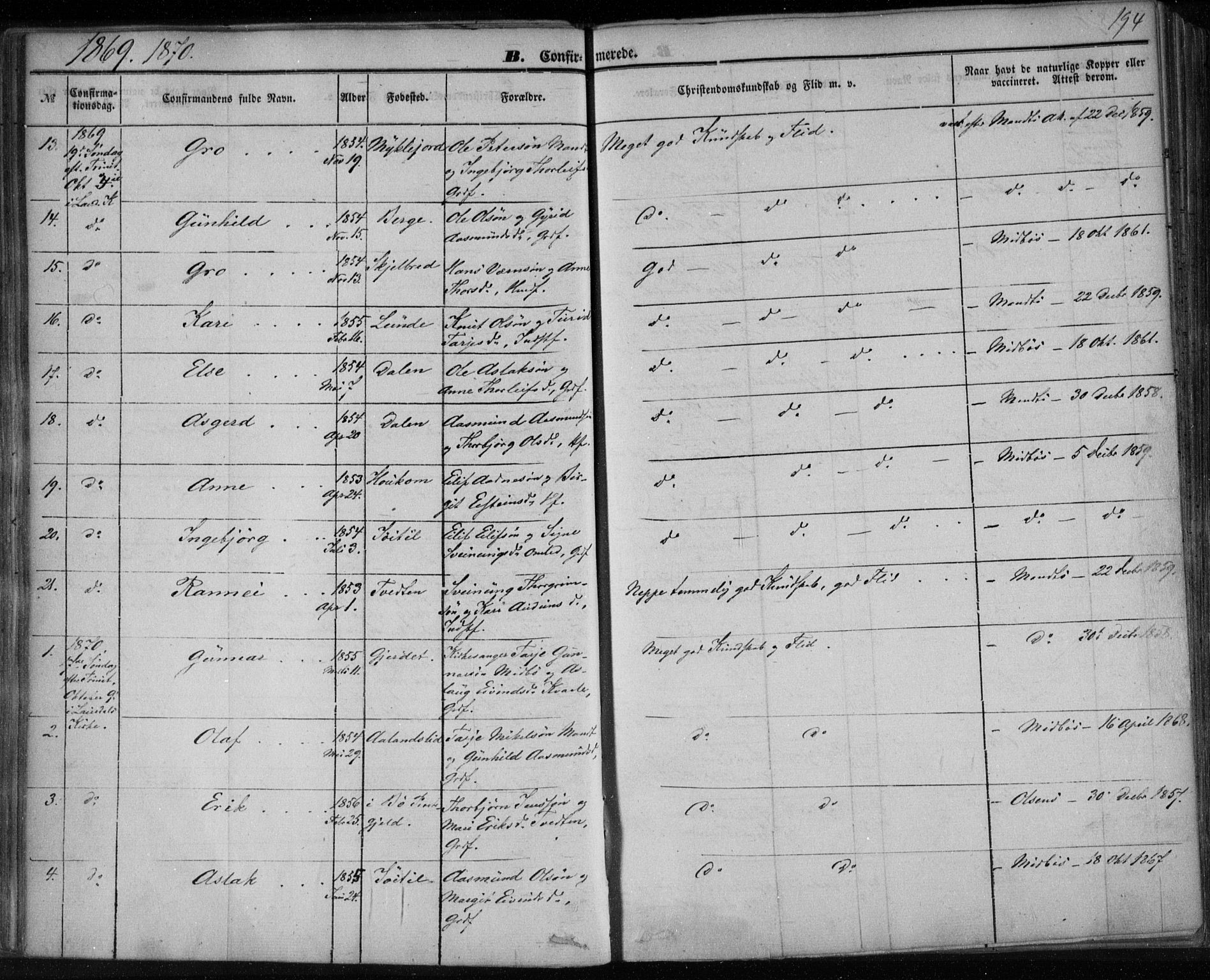 Lårdal kirkebøker, SAKO/A-284/F/Fa/L0006: Parish register (official) no. I 6, 1861-1886, p. 194