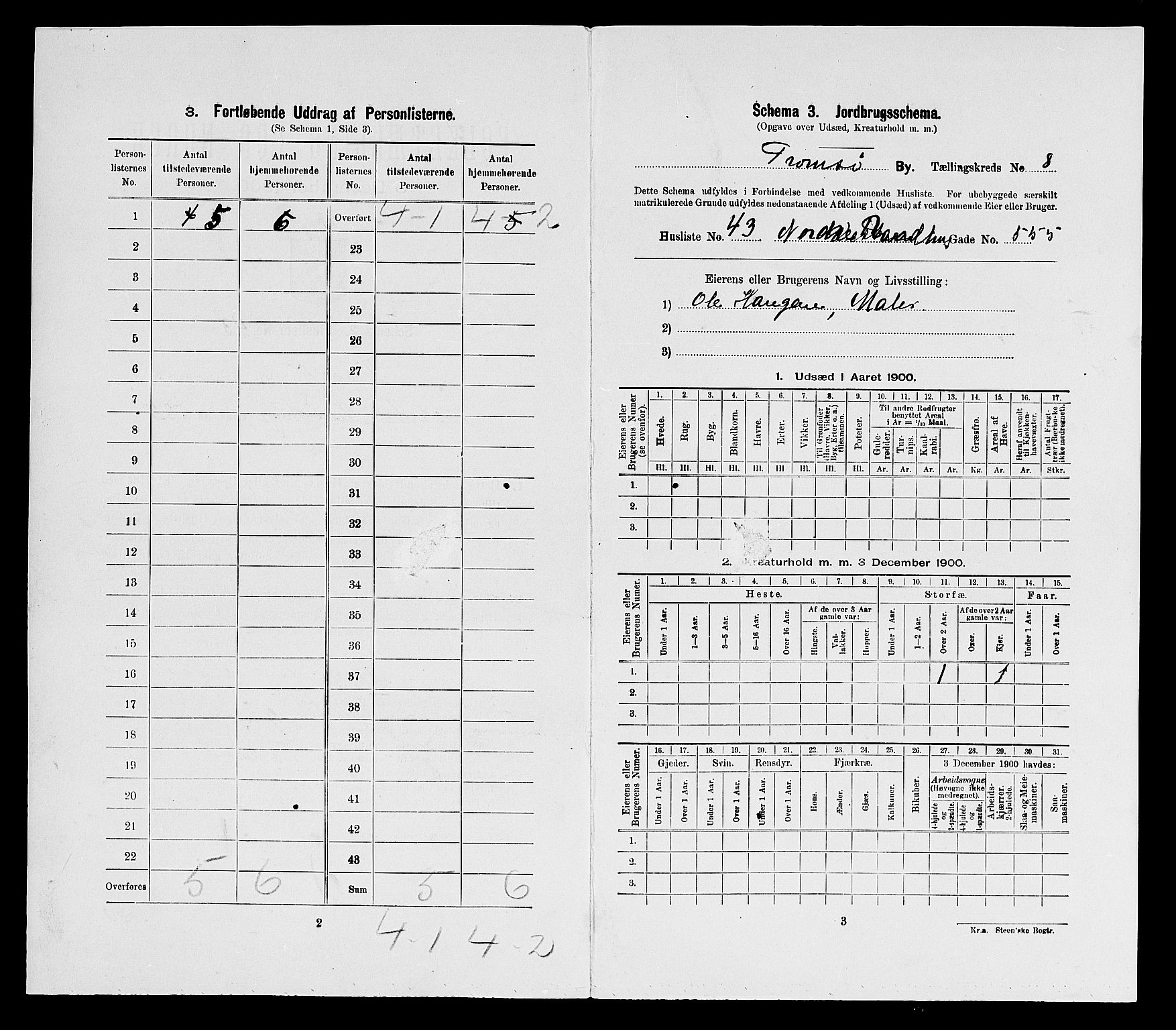 SATØ, 1900 census for Tromsø, 1900, p. 2408