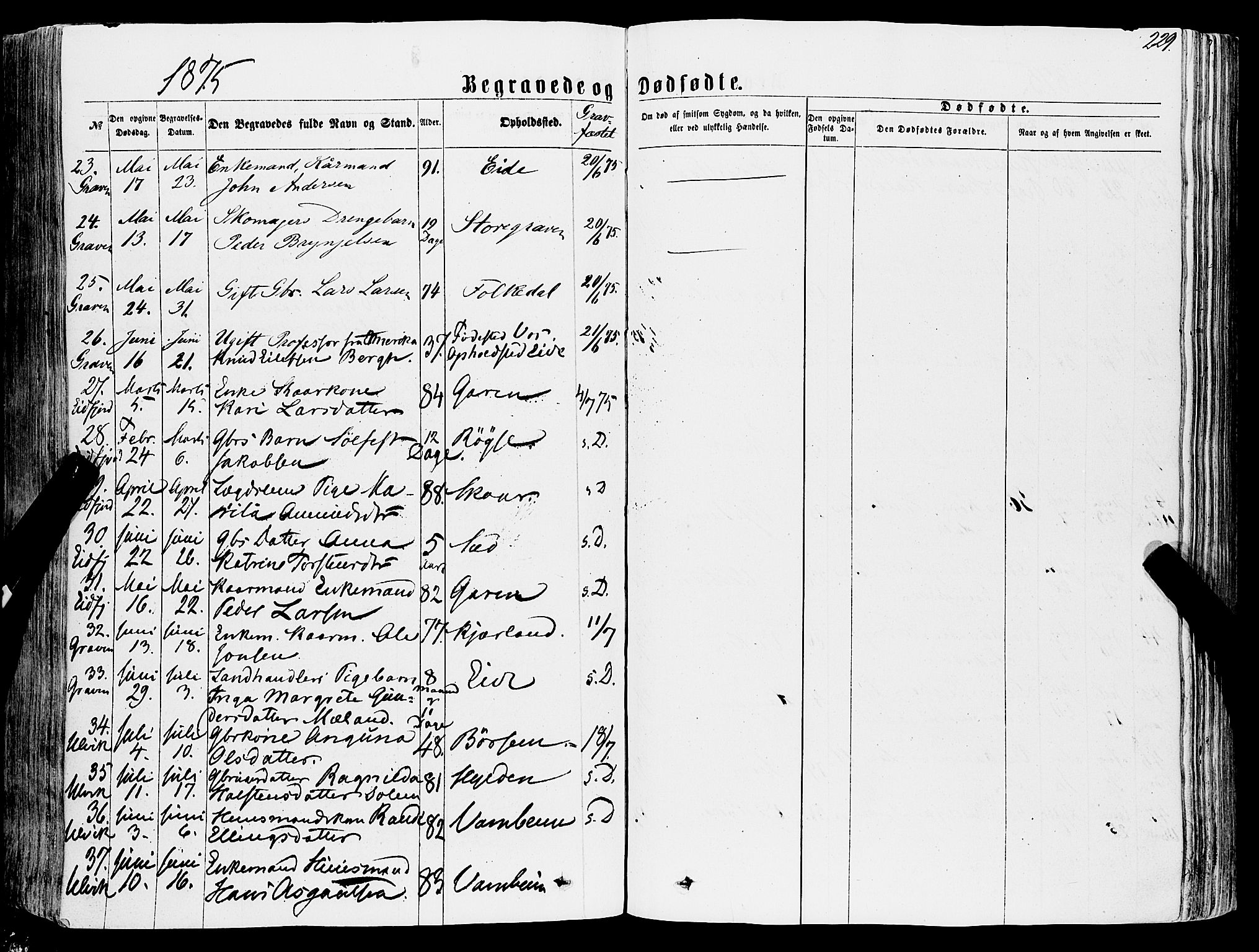 Ulvik sokneprestembete, AV/SAB-A-78801/H/Haa: Parish register (official) no. A 15, 1864-1878, p. 229