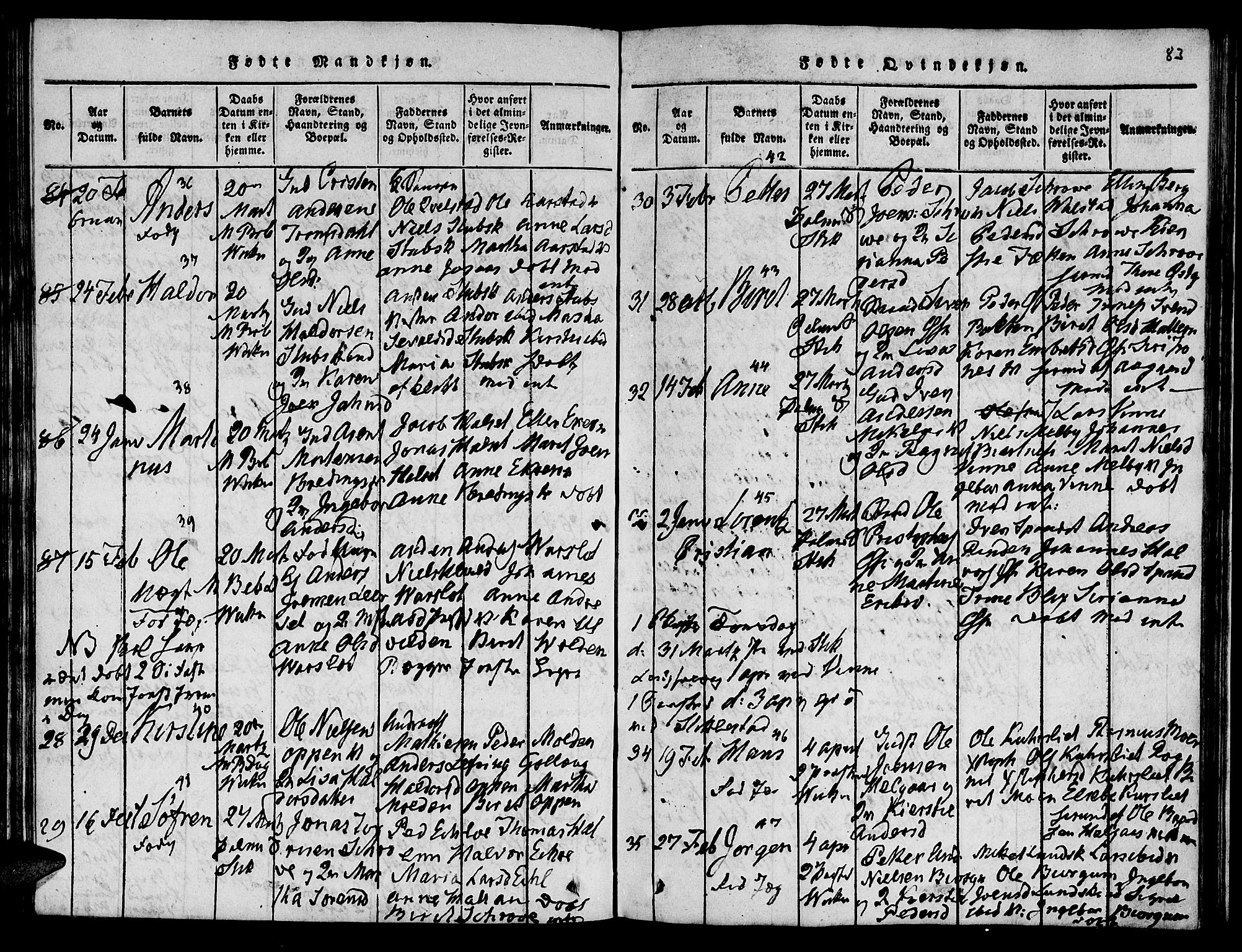 Ministerialprotokoller, klokkerbøker og fødselsregistre - Nord-Trøndelag, AV/SAT-A-1458/723/L0251: Parish register (copy) no. 723C01 /1, 1816-1831, p. 83