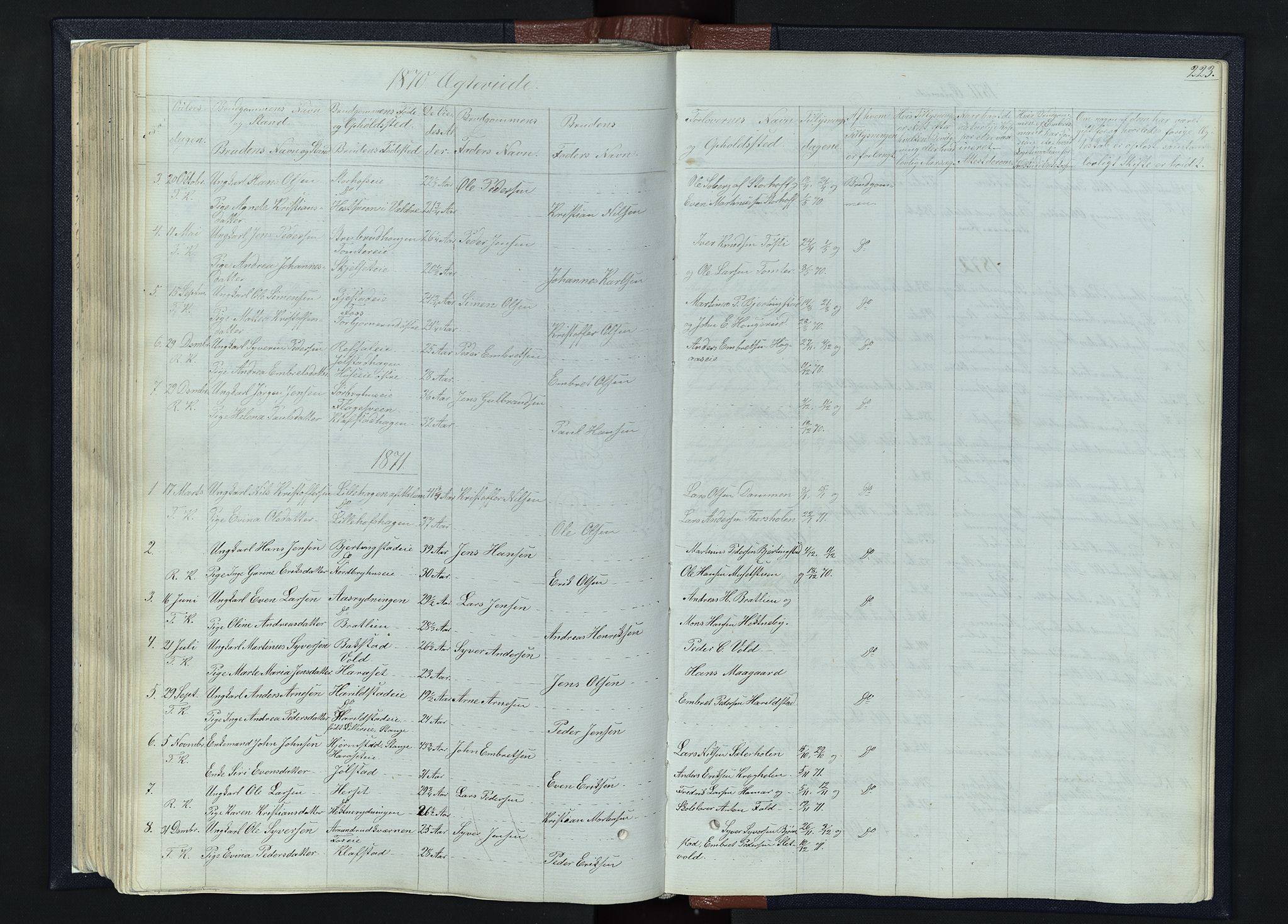 Romedal prestekontor, SAH/PREST-004/L/L0010: Parish register (copy) no. 10, 1860-1895, p. 223