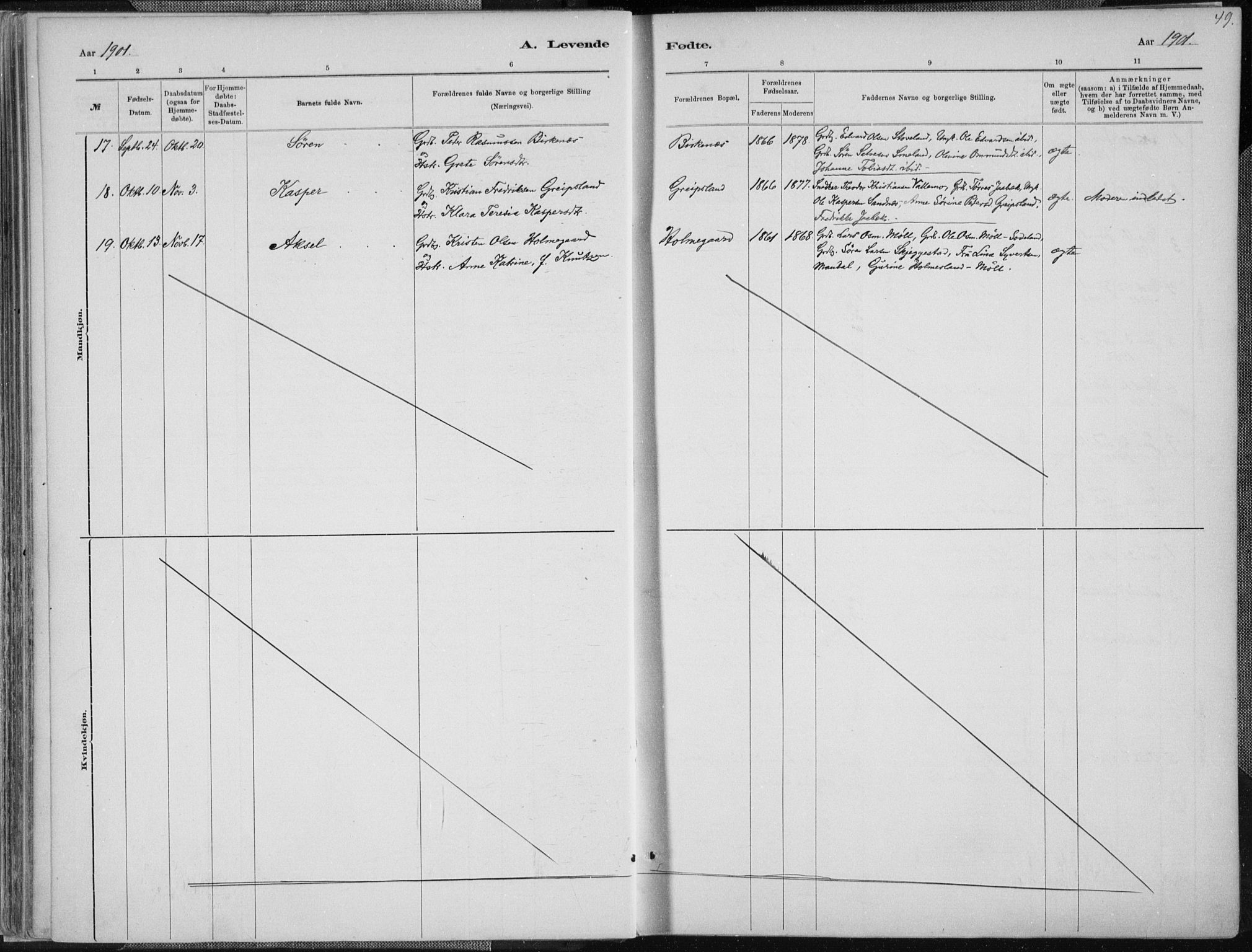 Holum sokneprestkontor, AV/SAK-1111-0022/F/Fa/Faa/L0007: Parish register (official) no. A 7, 1884-1907, p. 49