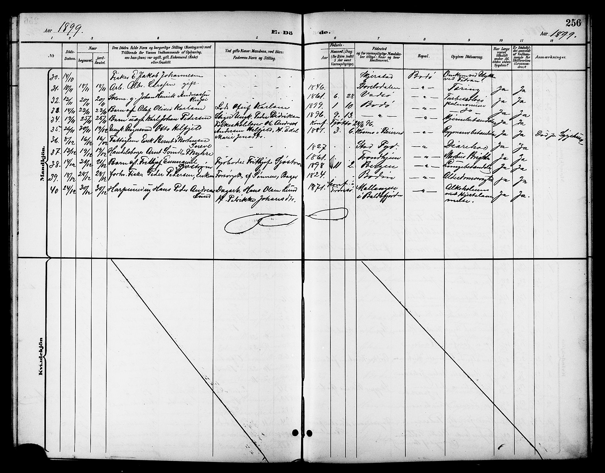 Ministerialprotokoller, klokkerbøker og fødselsregistre - Nordland, AV/SAT-A-1459/801/L0033: Parish register (copy) no. 801C08, 1898-1910, p. 256